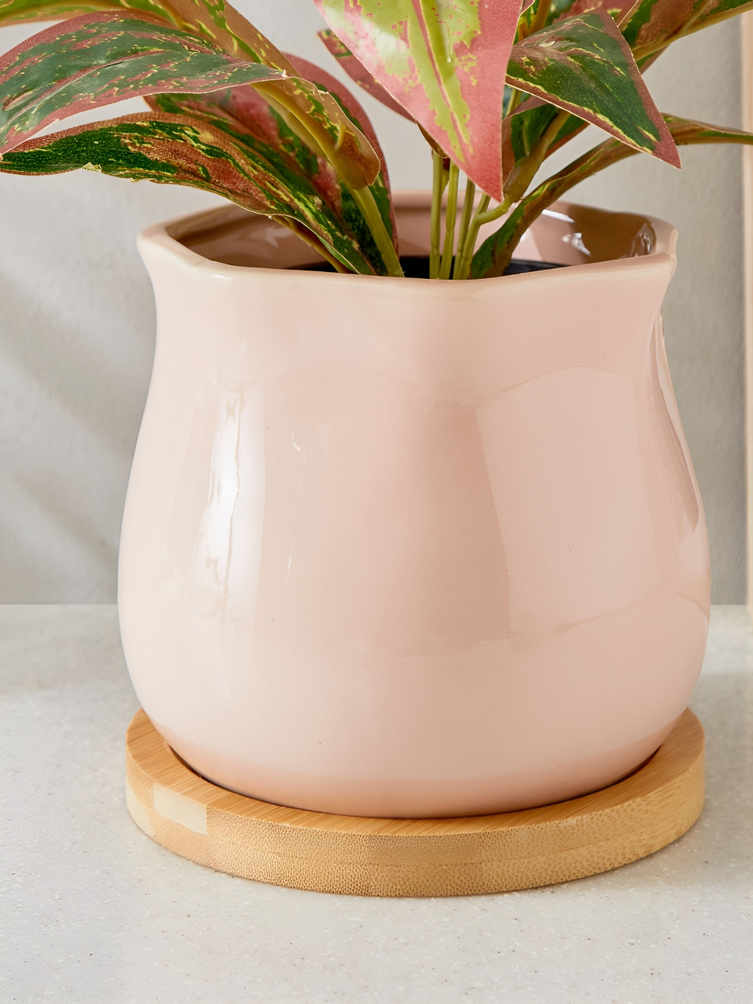

Home Centre Gloria Pink Ceramic Planter With Wooden Base