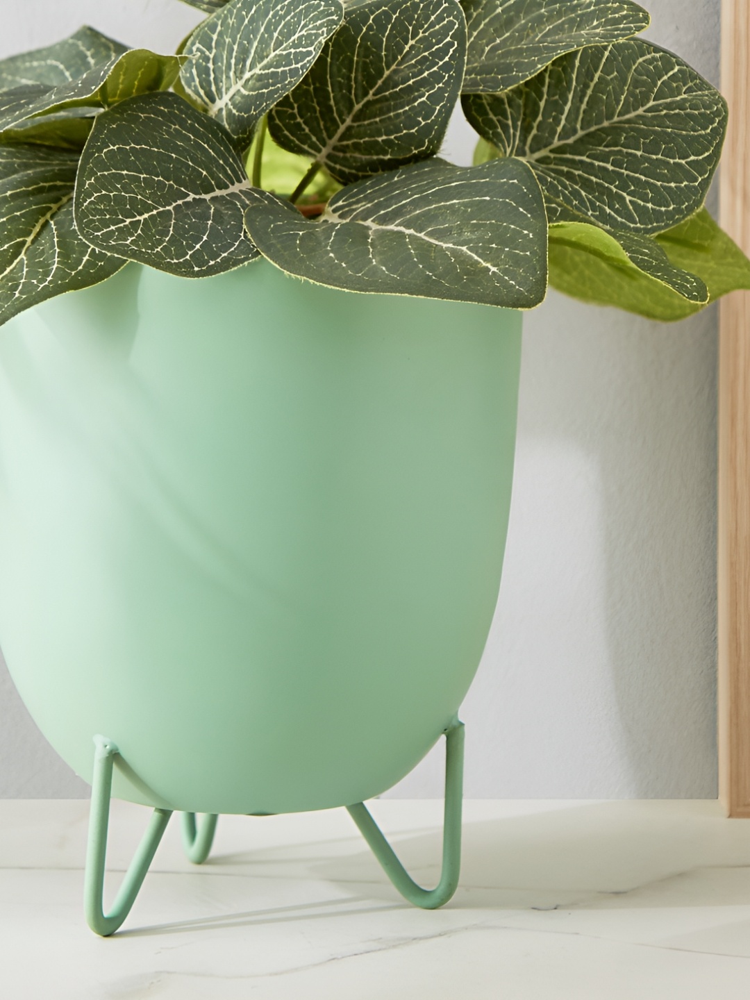 

Home Centre Lets Garden Green Metal Flower Planter