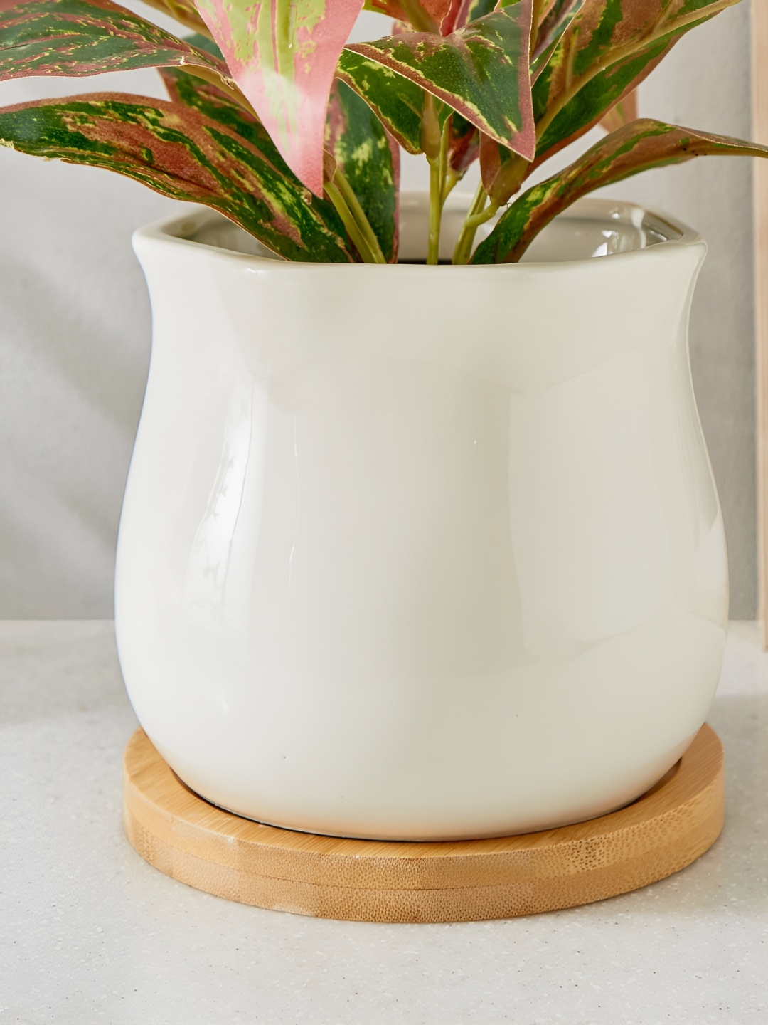 

Home Centre Gloria White Ceramic Planter With Wooden Base