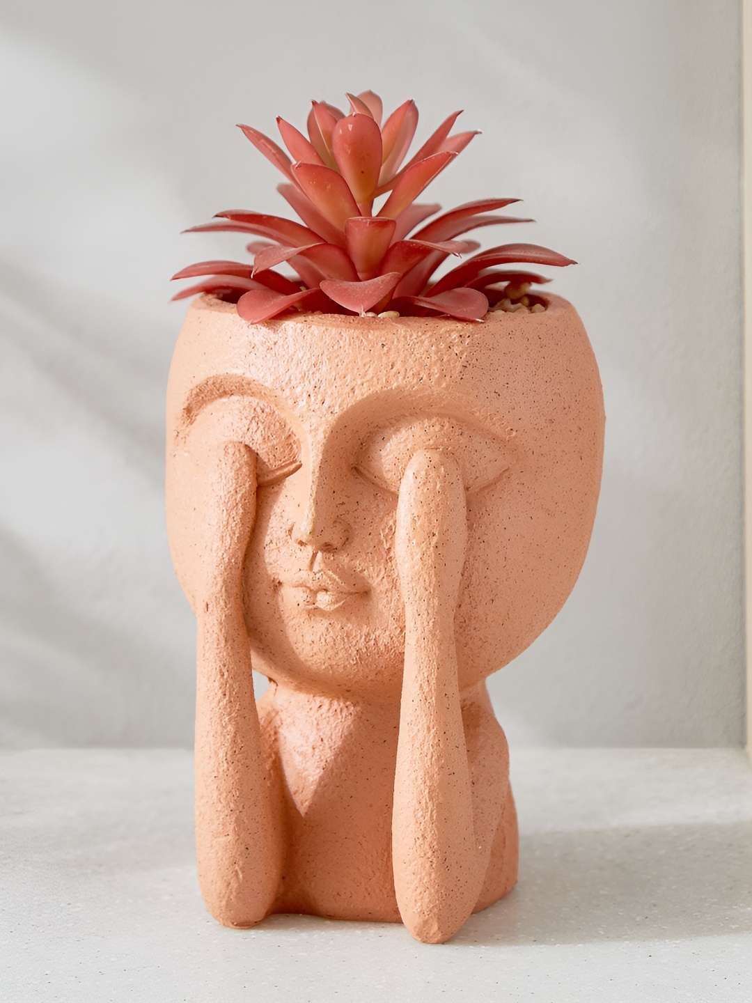 

Home Centre Gloria Brown Human Croton Artificial Succulent Plant With Pot