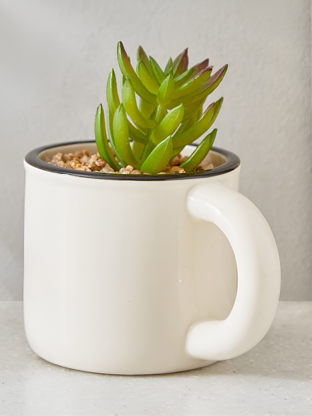 

Home Centre Gloria White Palm Artificial Succulent Plant With Ceramic Pot