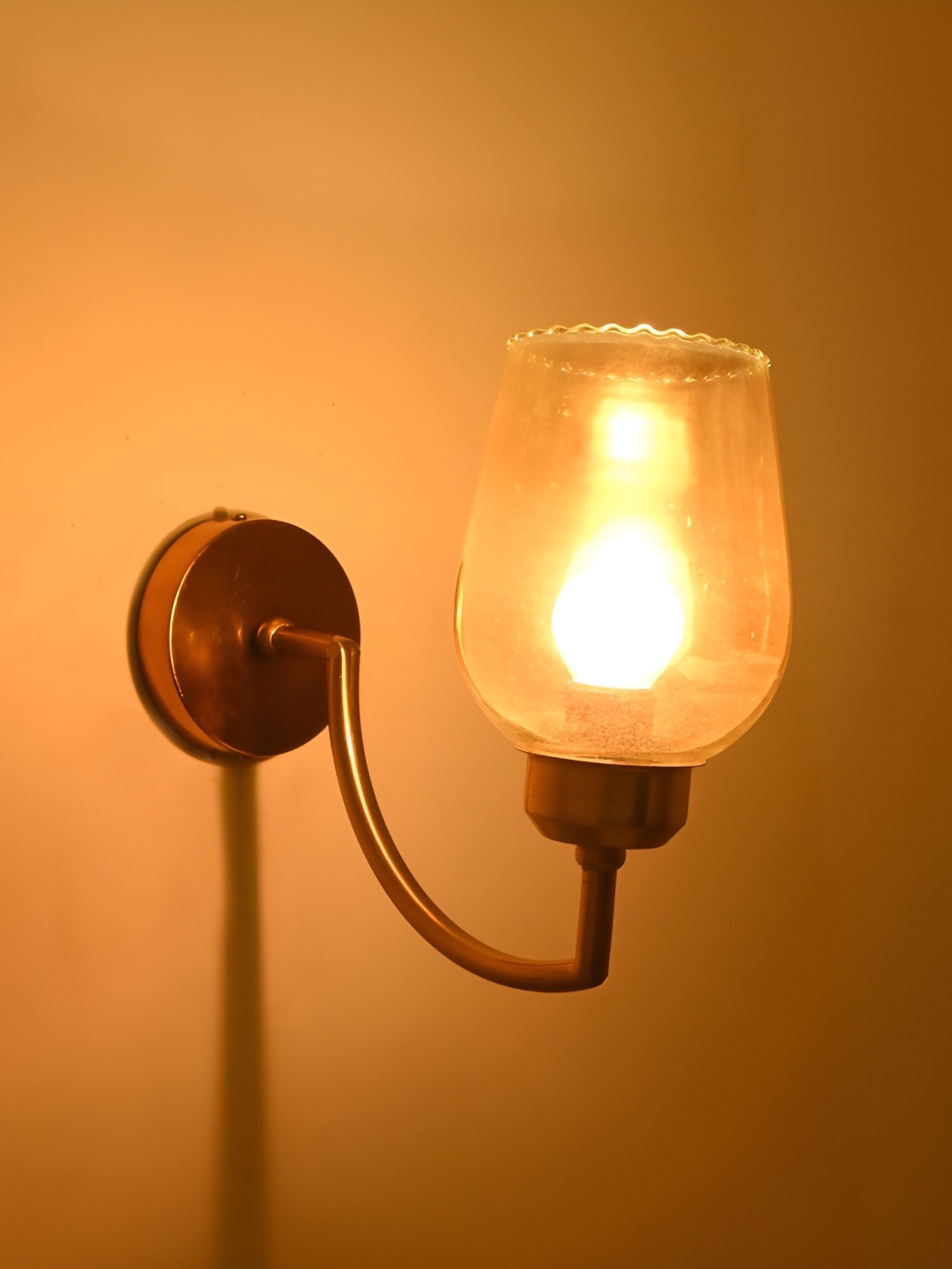 

Afast Gold-Toned Bell Shaped Glass Wall Lamp