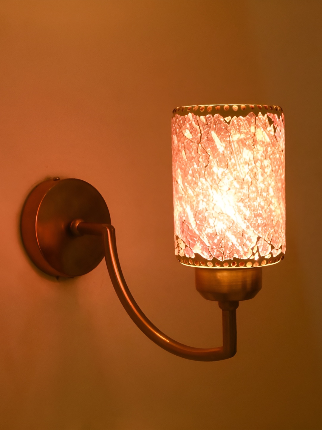 

Afast Gold-Toned & Purple Textured Glass Bell Shaped Wall Lamp