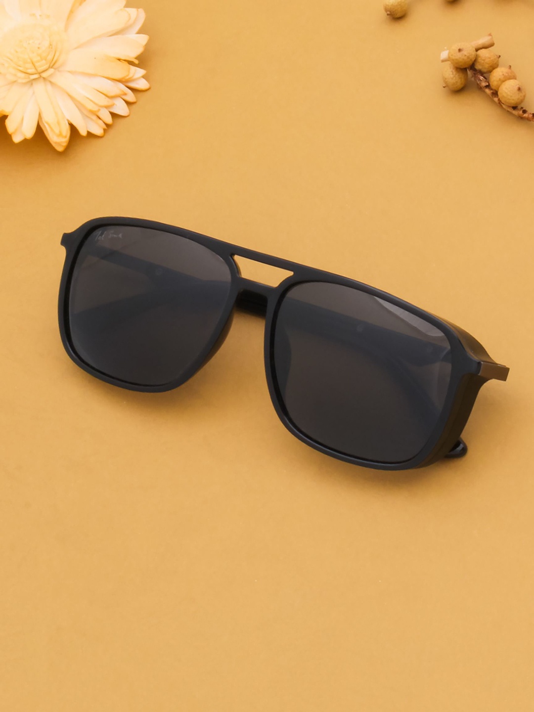 

Ted Smith Men Aviator Sunglasses with Polarised Lens, Black