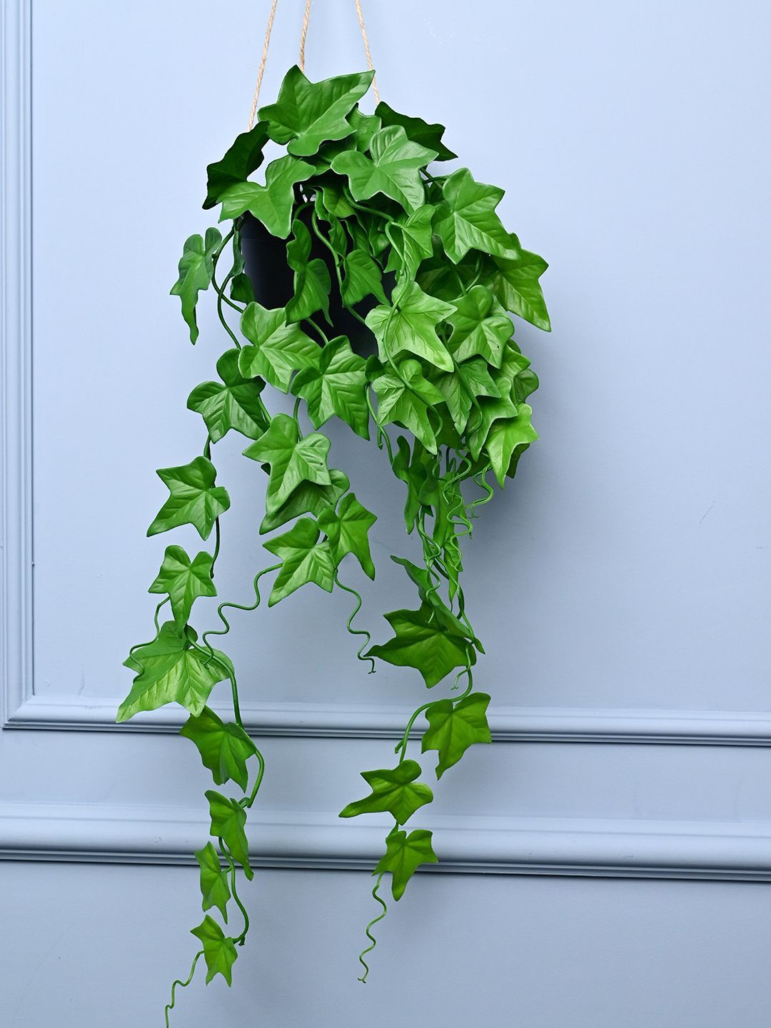 

MARKET99 Green Cylindrical Shaped Hanging Planters
