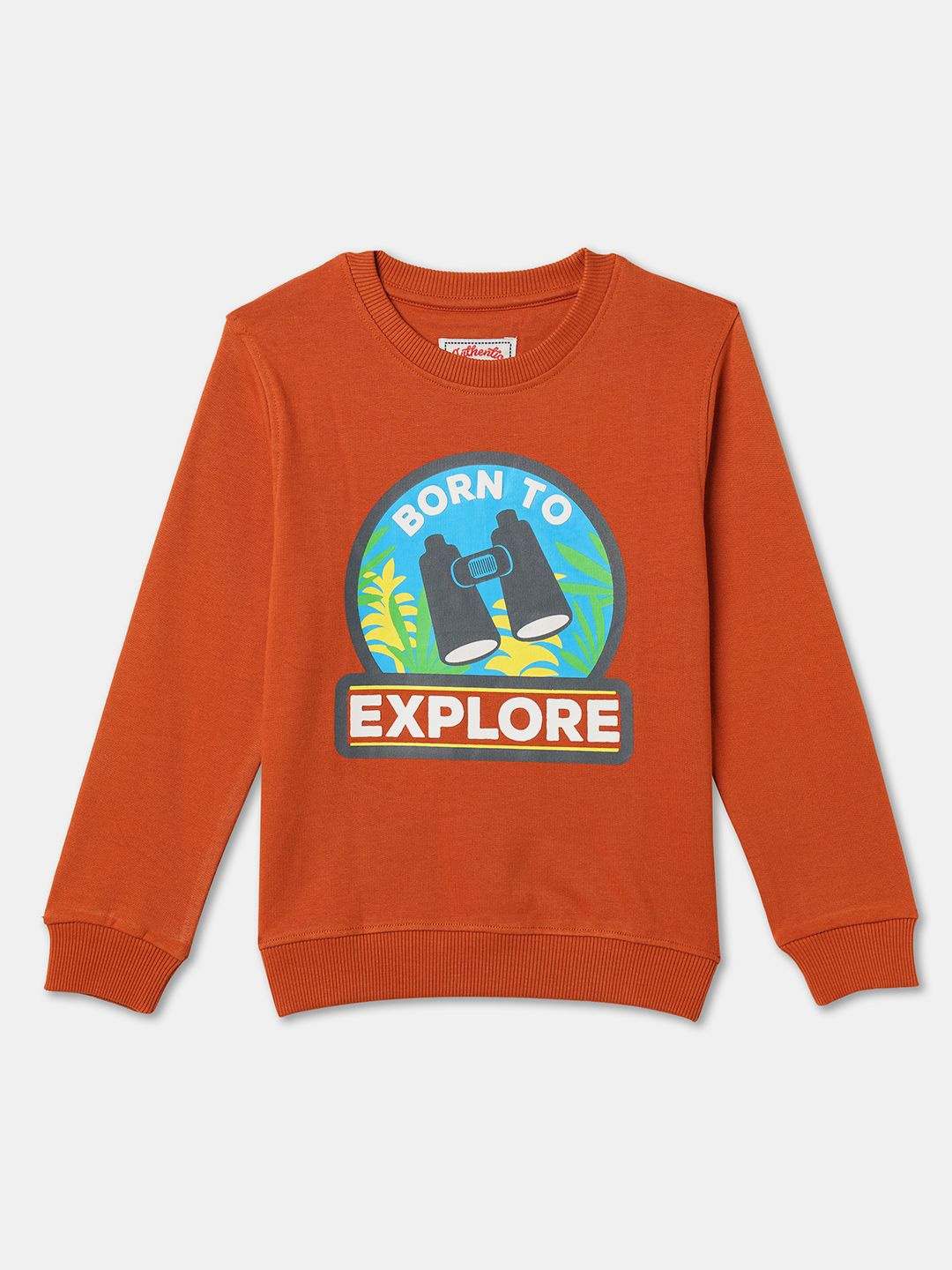 

R&B Boys Graphic Printed Sweatshirt, Orange