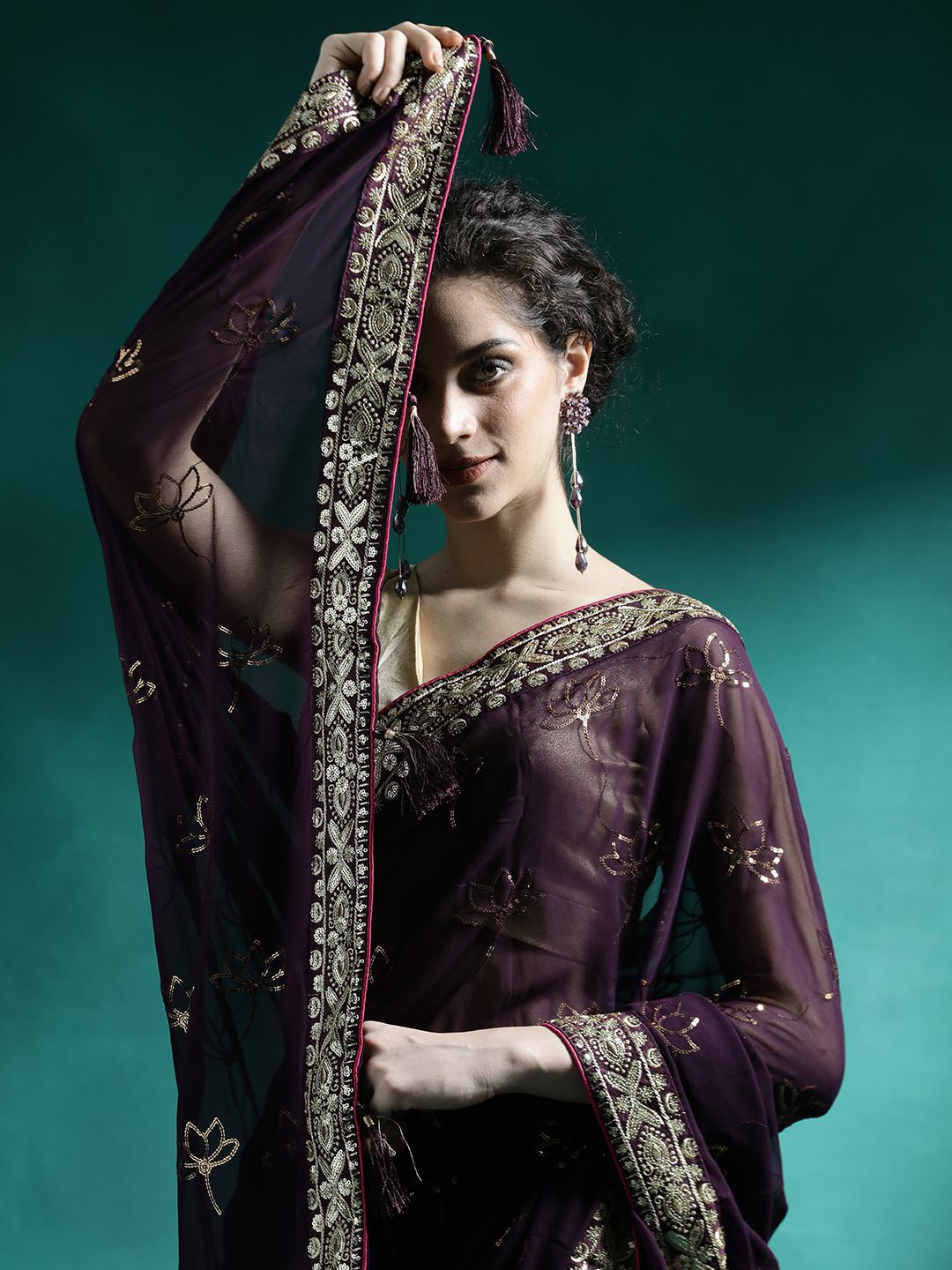

Sangria Women Embroidered Sequinned Saree With Unstitched Blouse Piece, Brown