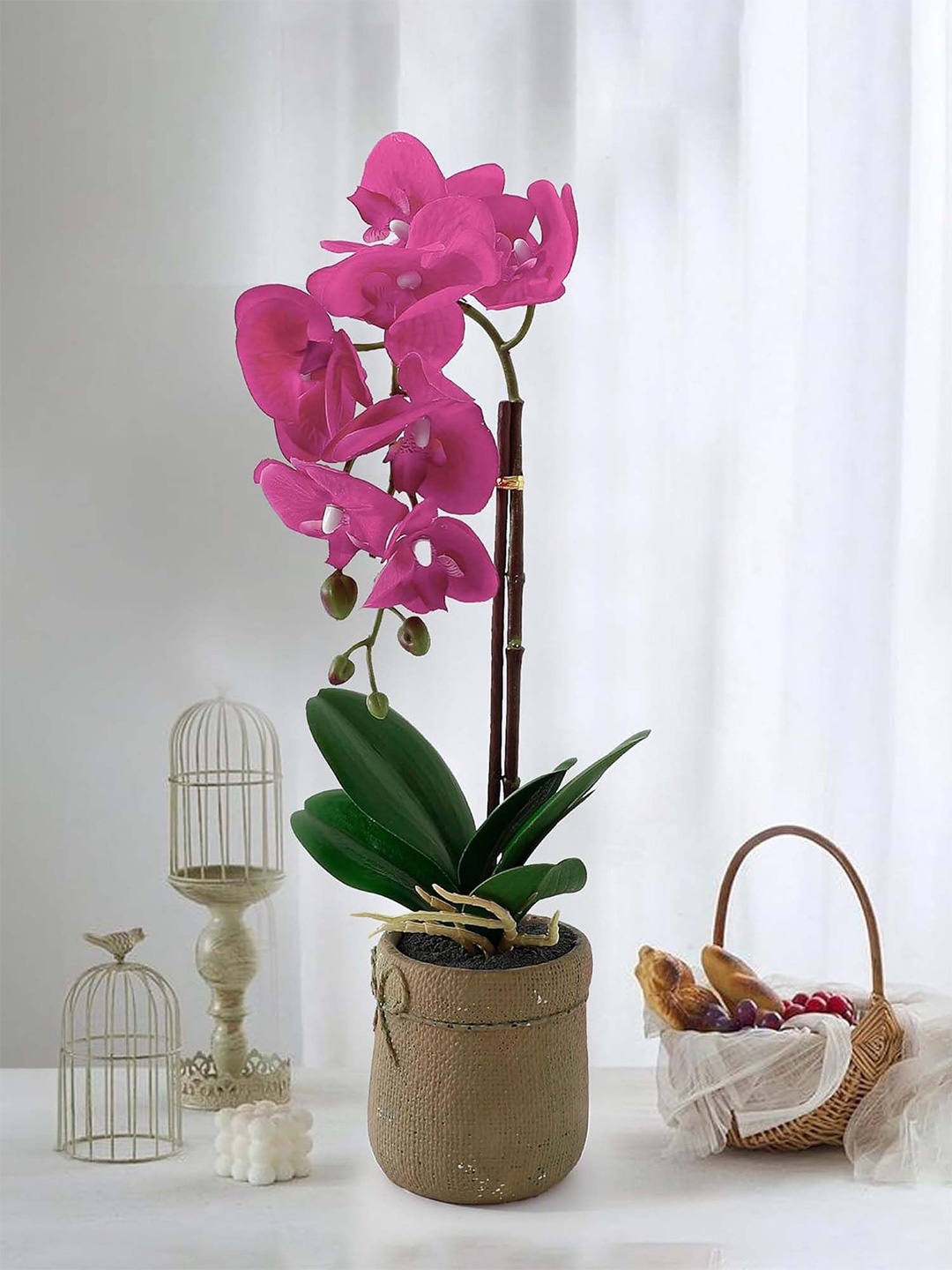 

Ekhasa Pink & Green Orchid Artificial Flower With Pot