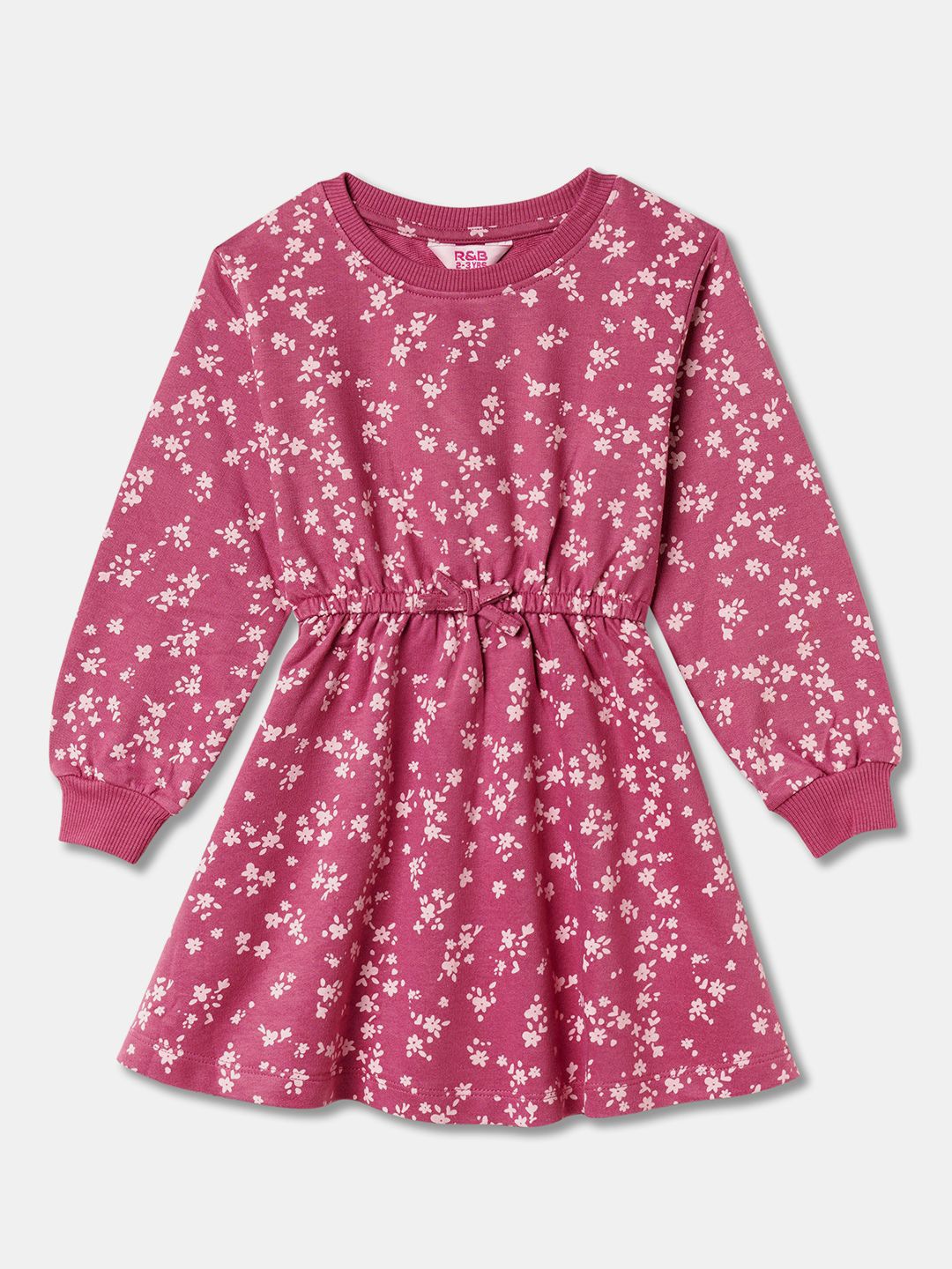

R&B Floral Print Fit & Flare Round Neck Printed Dress, Purple