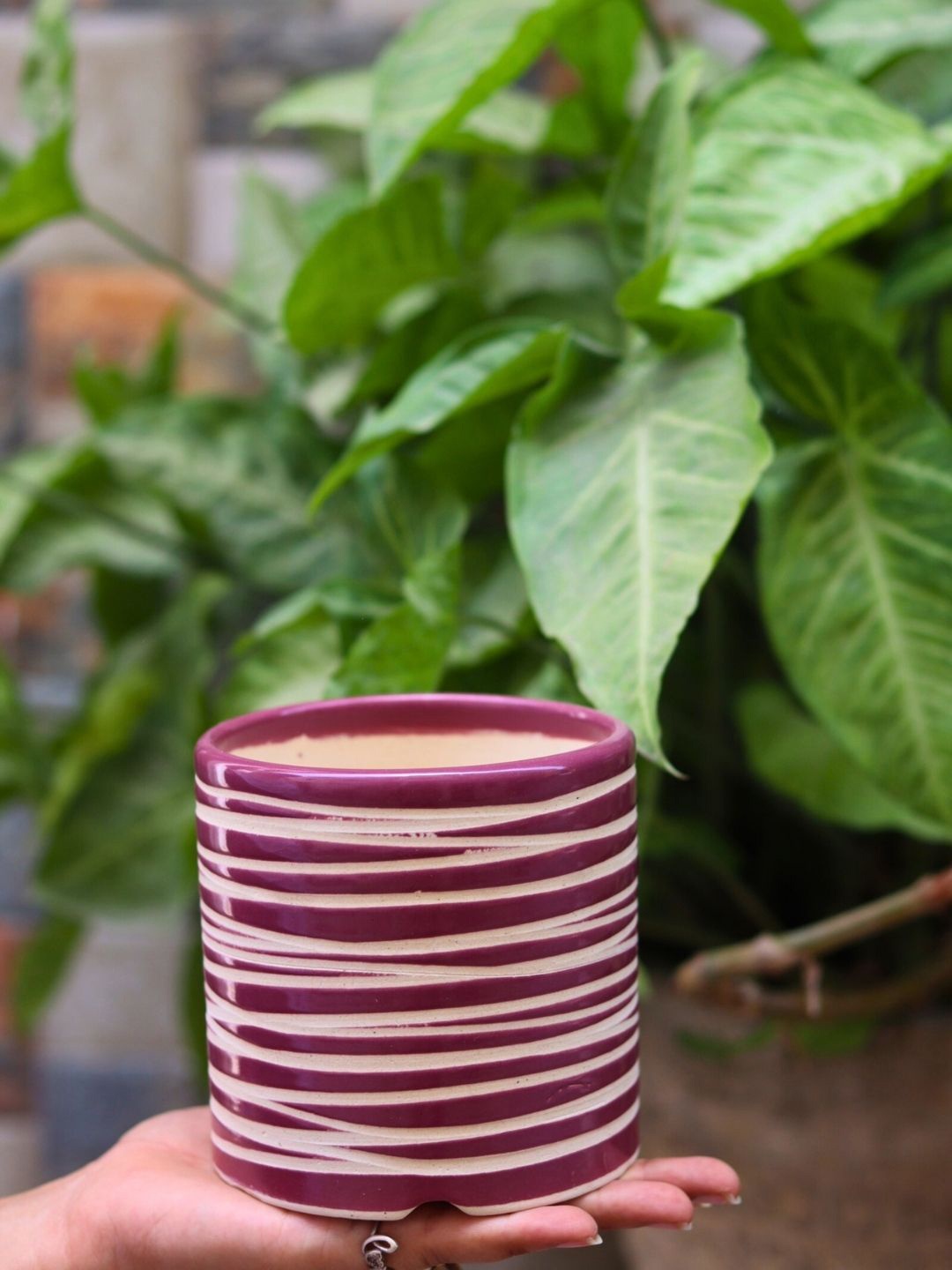 

WEAVING HOMES Purple & White Textured Ceramic Round Shaped Planters
