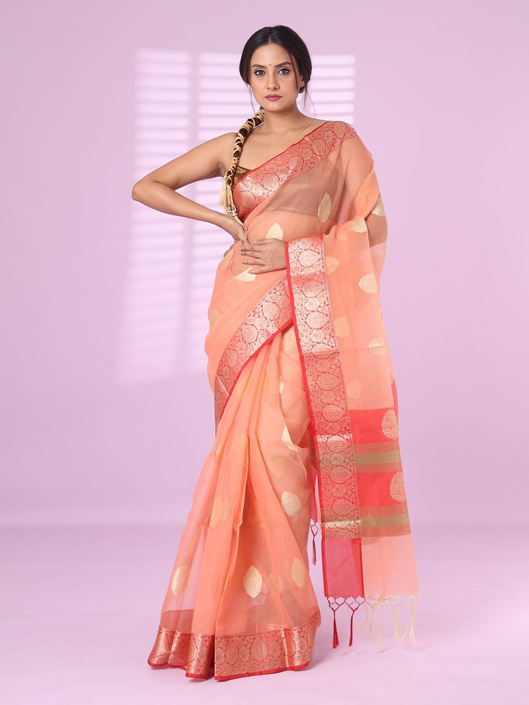 

Charukriti Ethnic Motifs Designer Saree, Peach