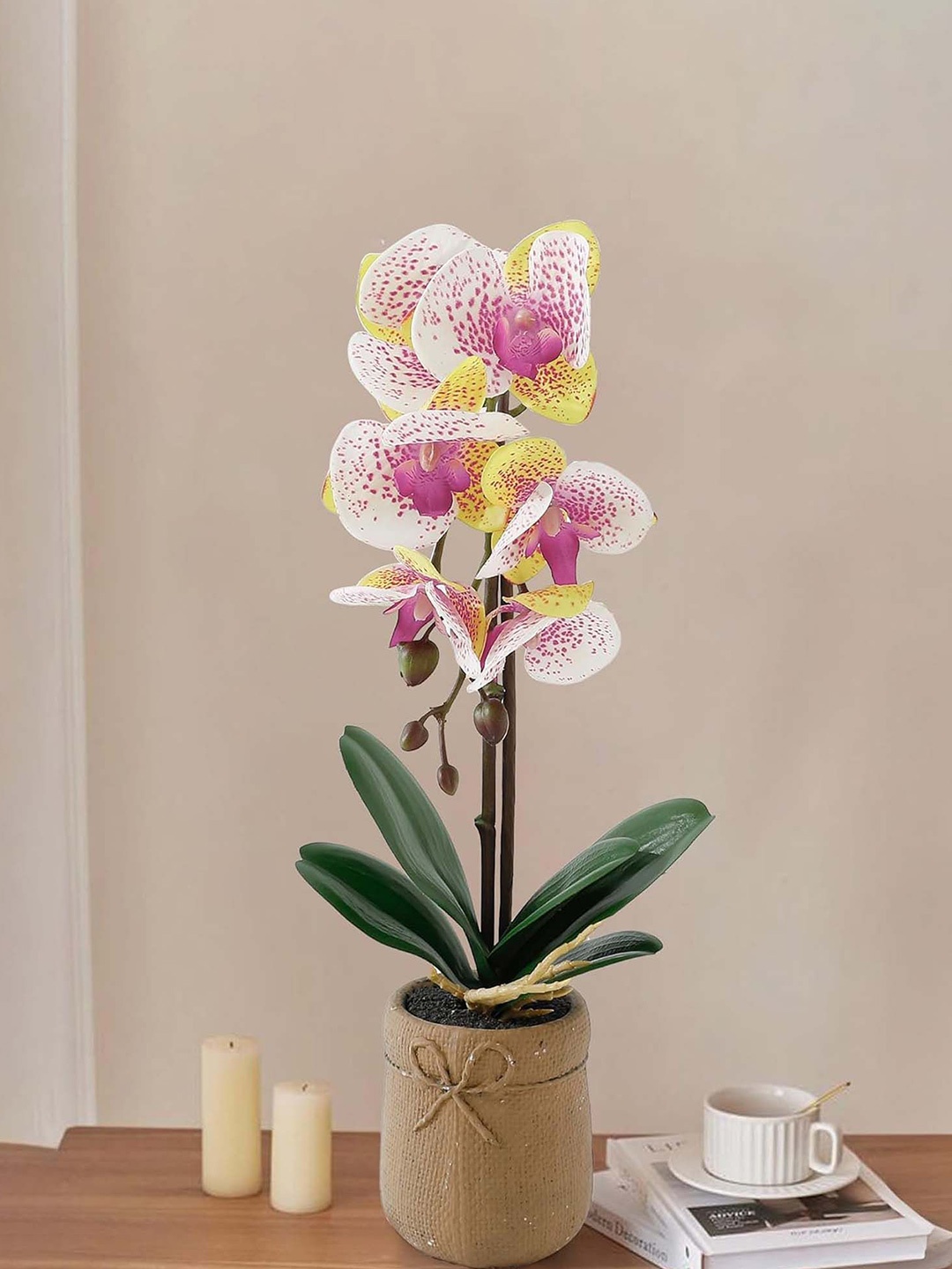

Ekhasa White & Green Orchid Artificial Flower With Pot