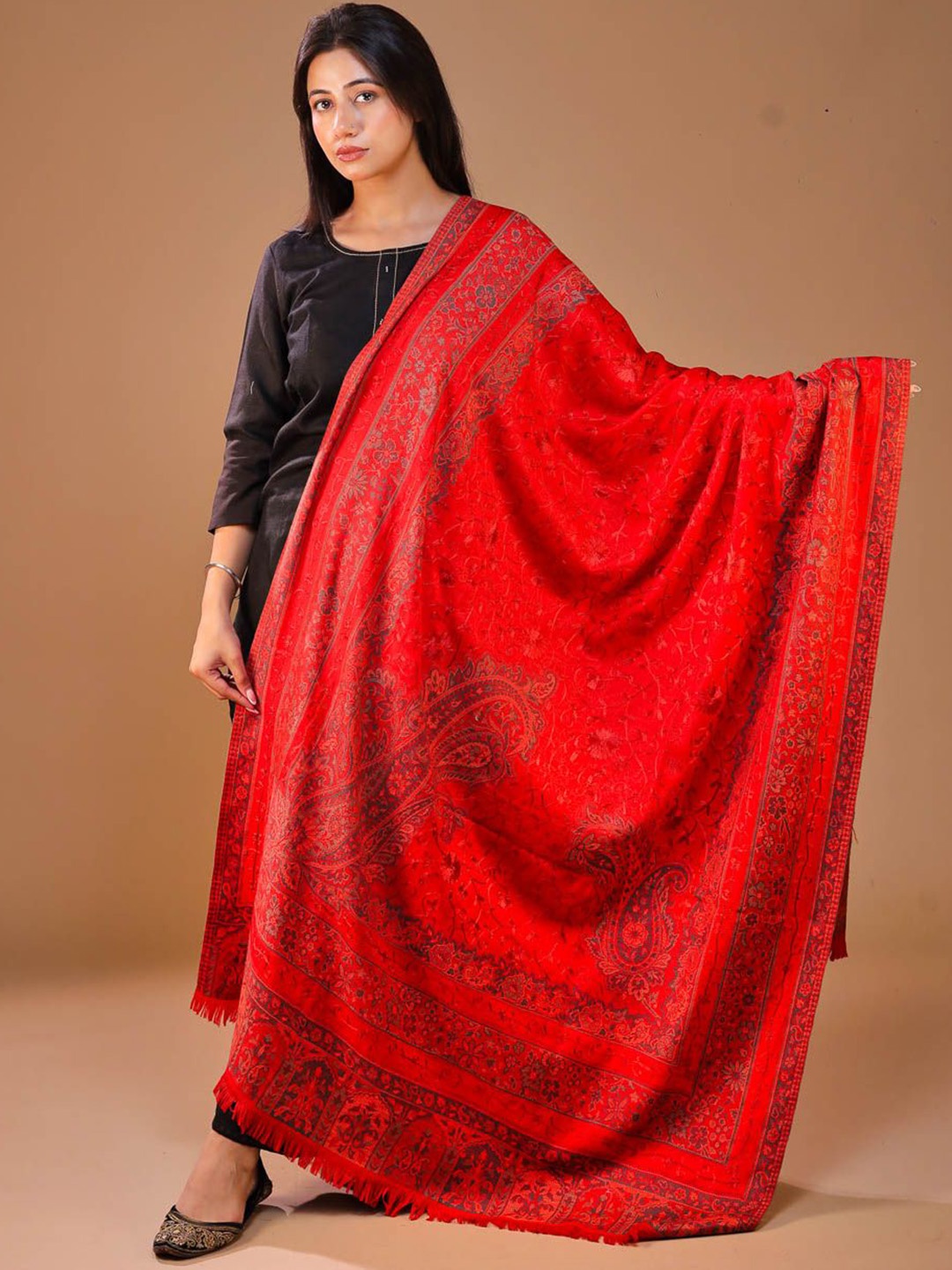 

SWI Stylish Ethnic Motifs Woven Design Jamawar Aari Work Shawl, Red