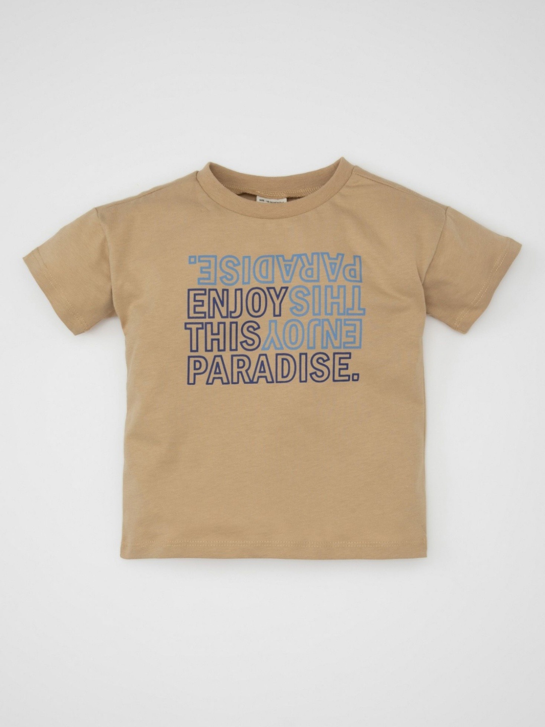 

DeFacto Boys Typography Printed Round Neck Cotton T-shirt, Tan