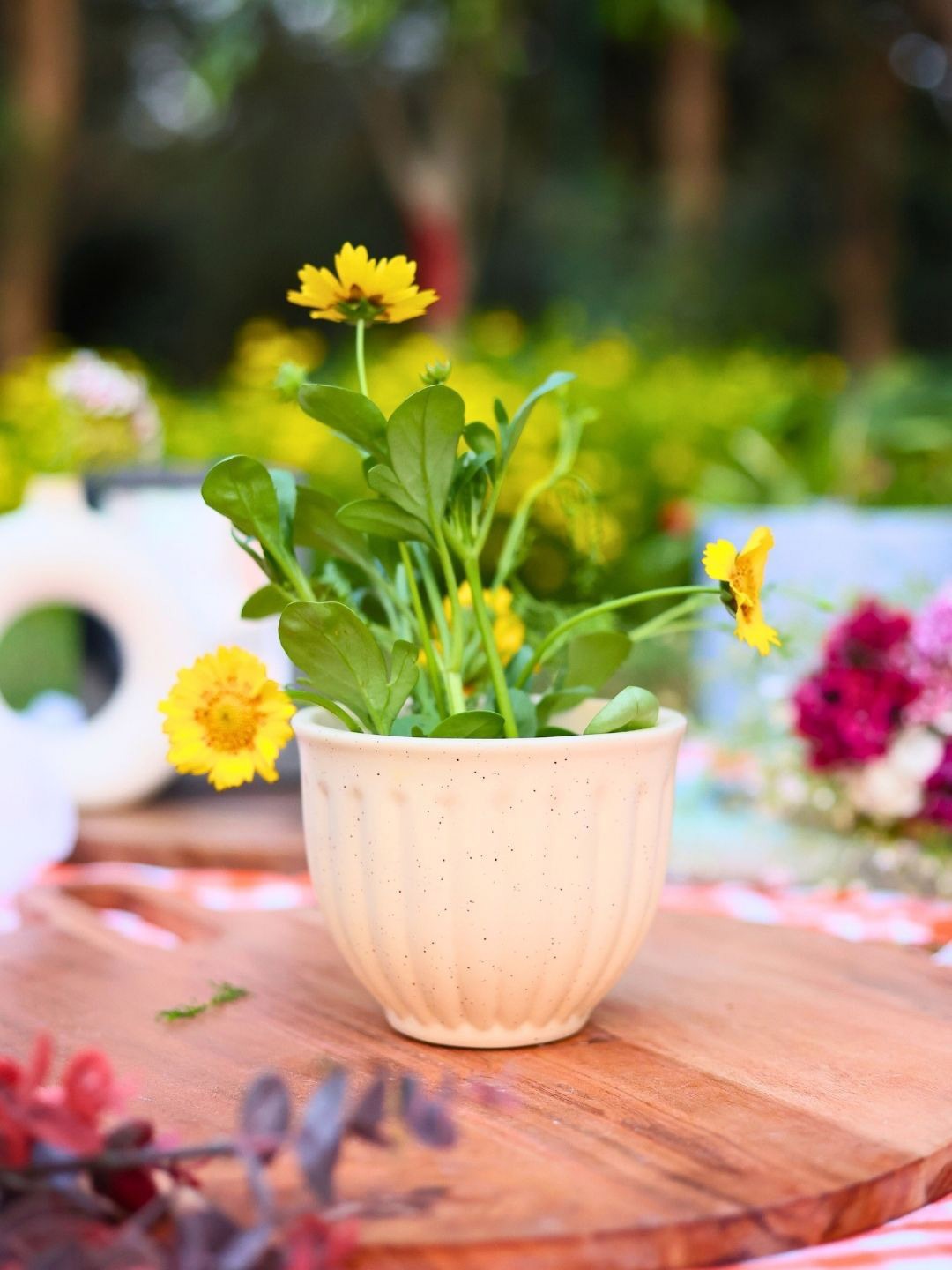 

WEAVING HOMES Cream-Colored Textured Ceramic Round Shaped Planter