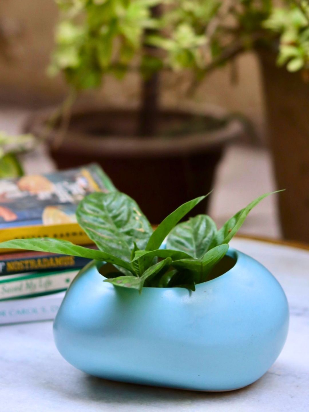 

WEAVING HOMES Blue Ceramic Pebble Planter