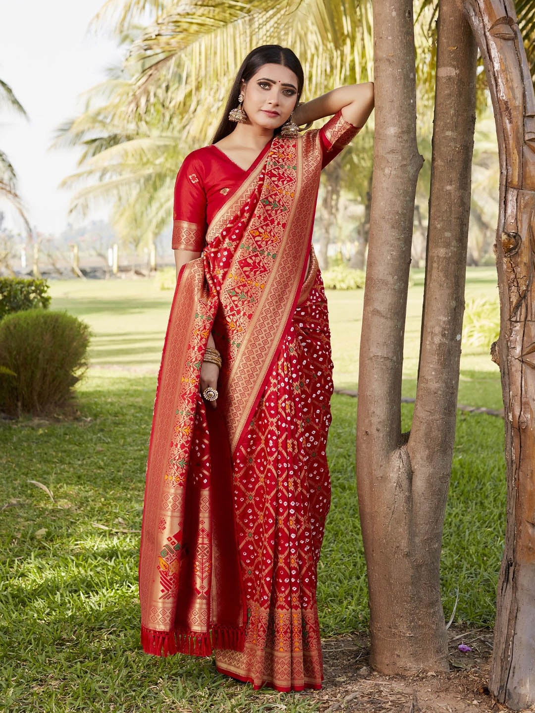 

Anaita Woven Design Zari Pure Silk Bandhani Saree, Red