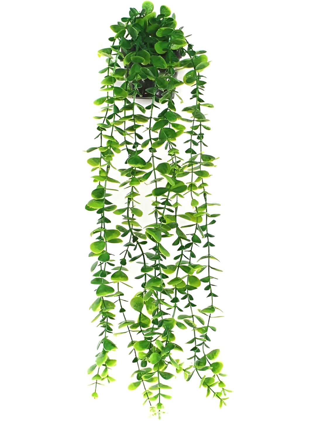 

XERGY Green Hanging Eucalyptus Artificial Plant With Pot
