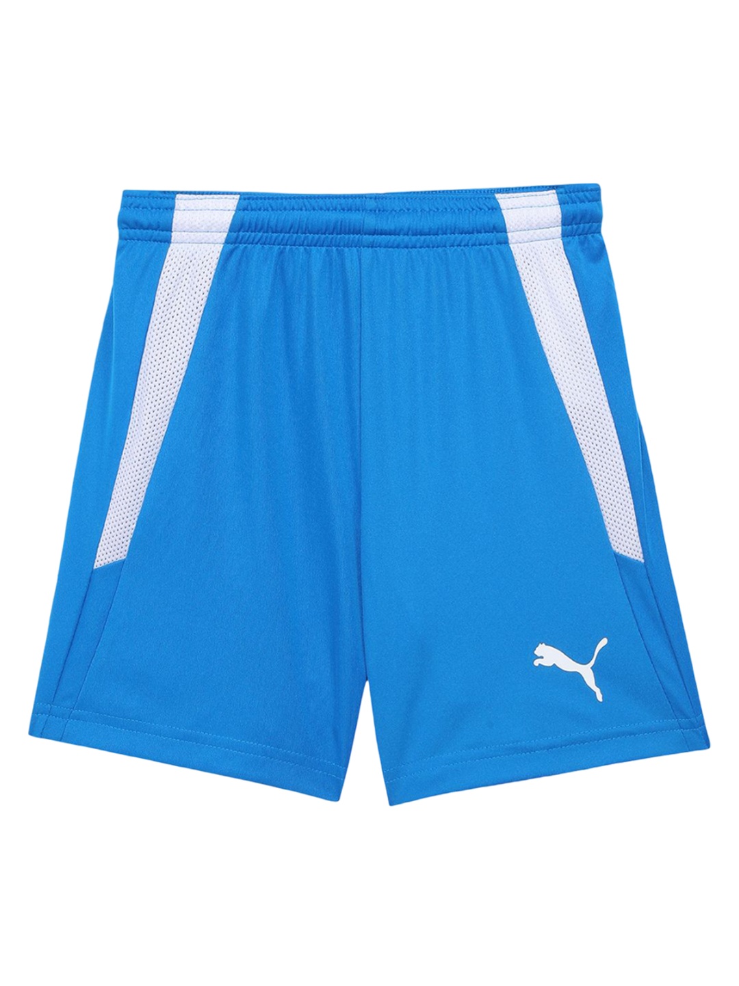 

Puma teamLIGA Kids Football Shorts, Blue