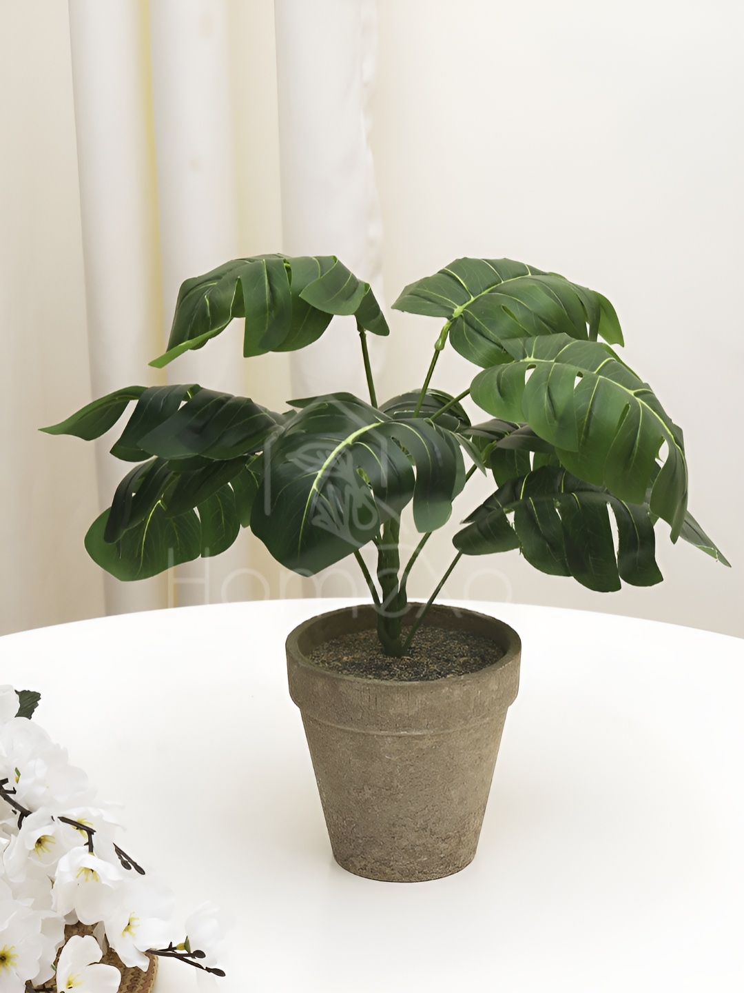 

XERGY Green Lvy Leaf Artificial Plant With Pot