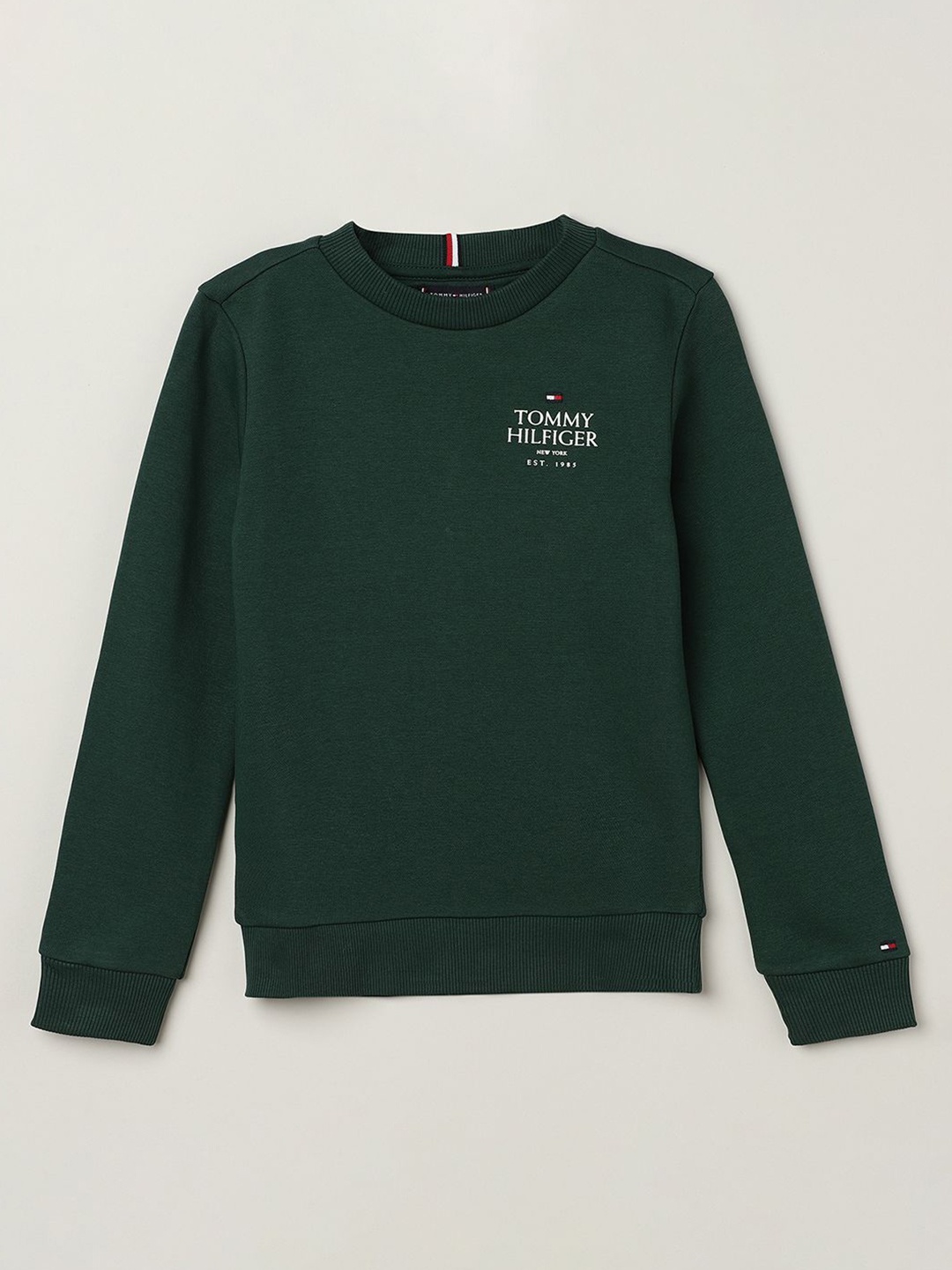 

Tommy Hilfiger Boys Typography Printed Hooded Sweatshirt, Green