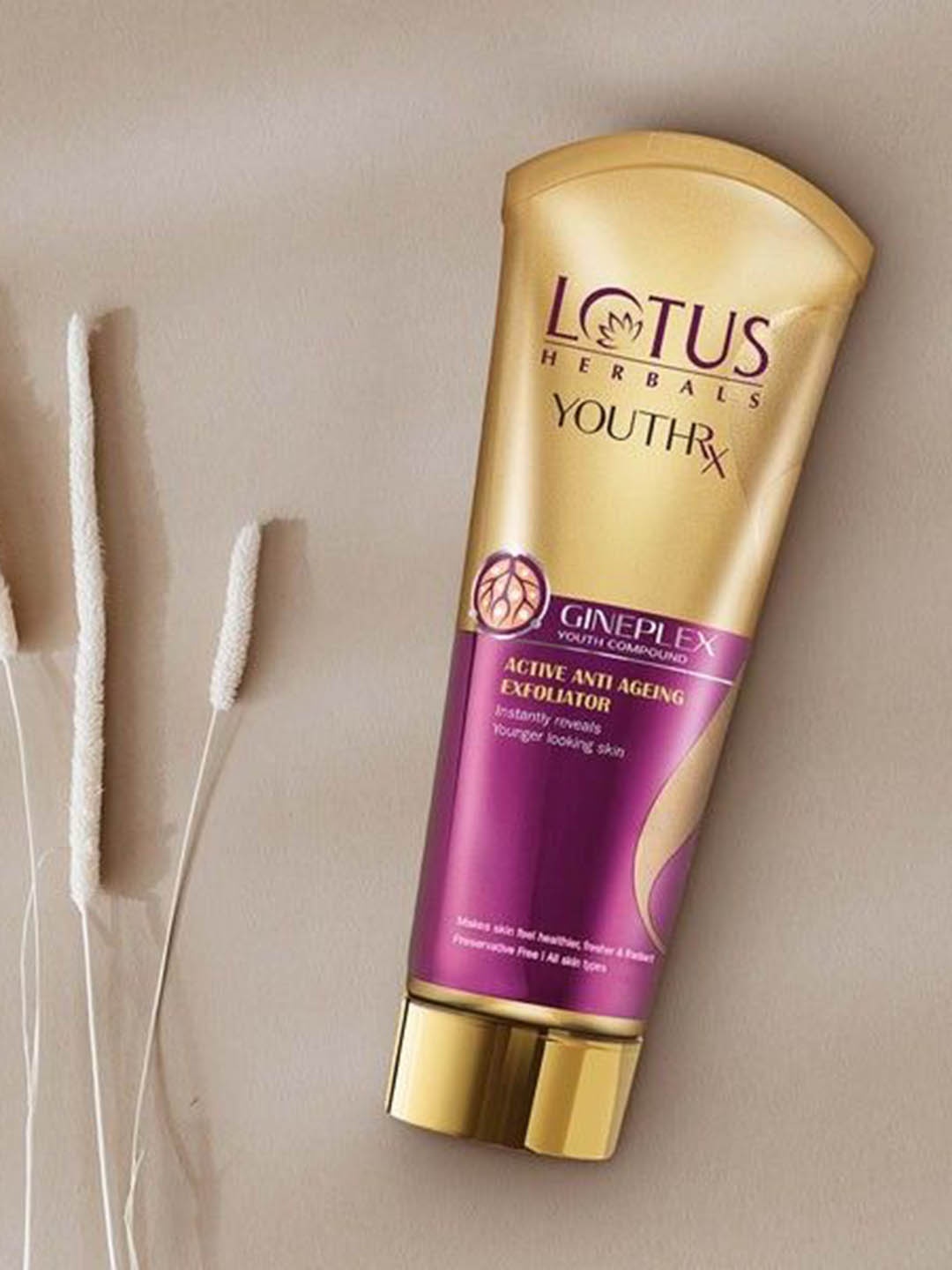 

Lotus Herbals YouthRx Set Of 3 Active Anti Ageing Exfoliator -100G Each, Gold