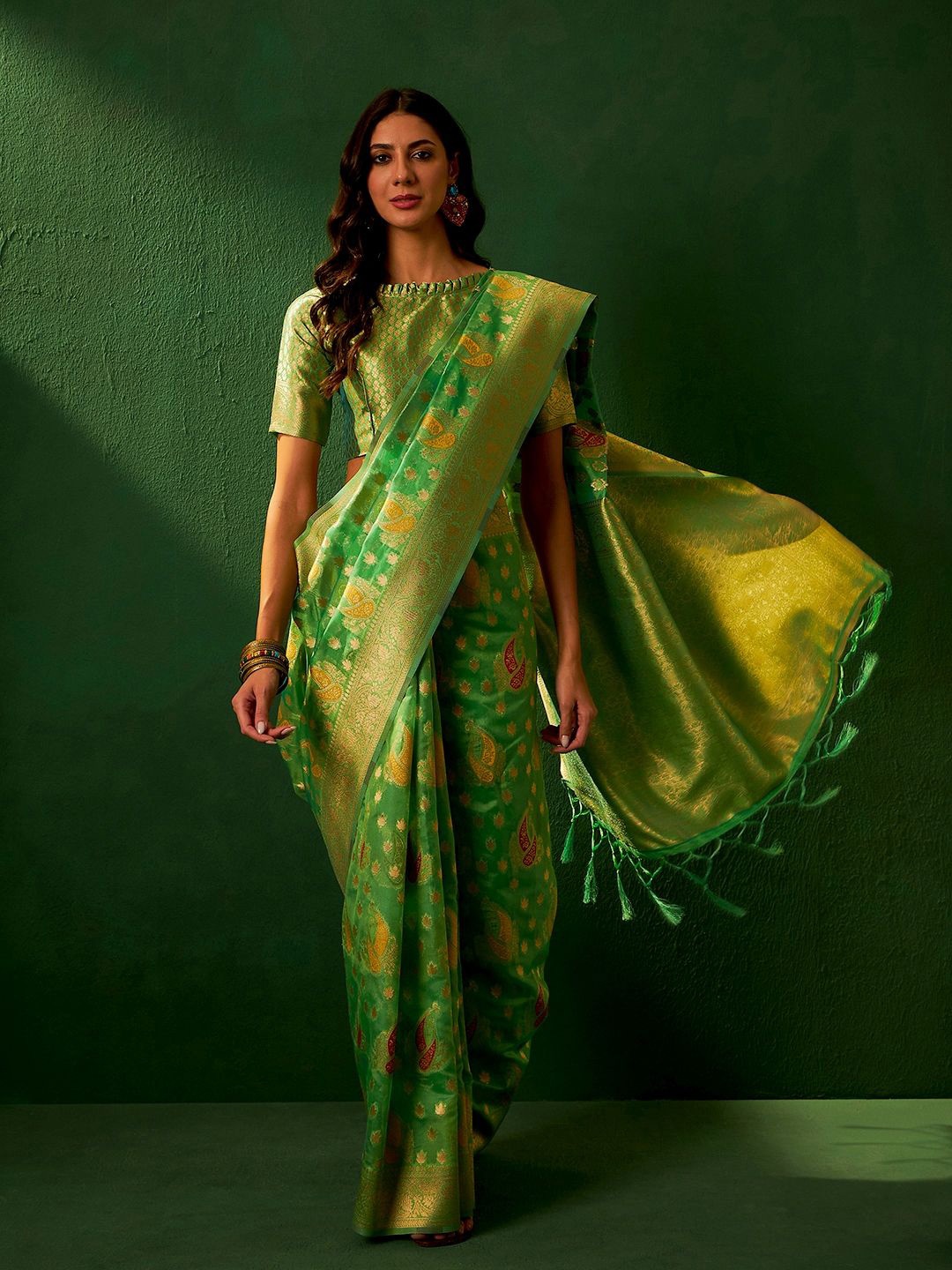 

SHADOW & SAINING Woven Design Zari Banarasi Saree, Green