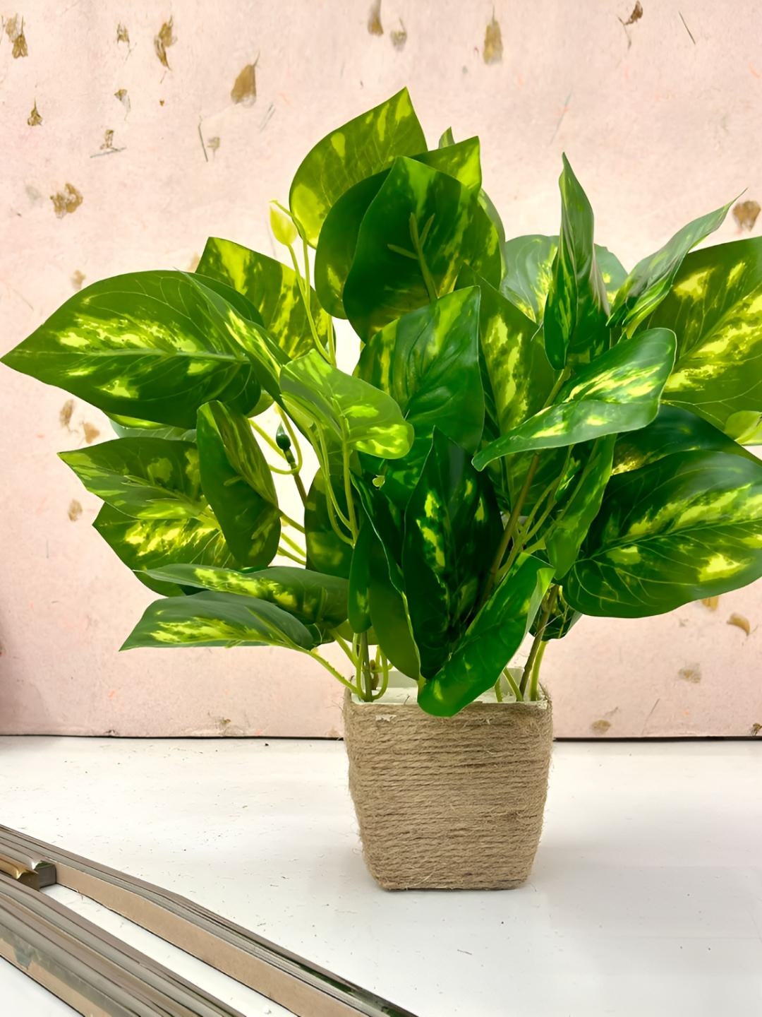 

Dekorly Green Gardenia Money Artificial Plant With Pot