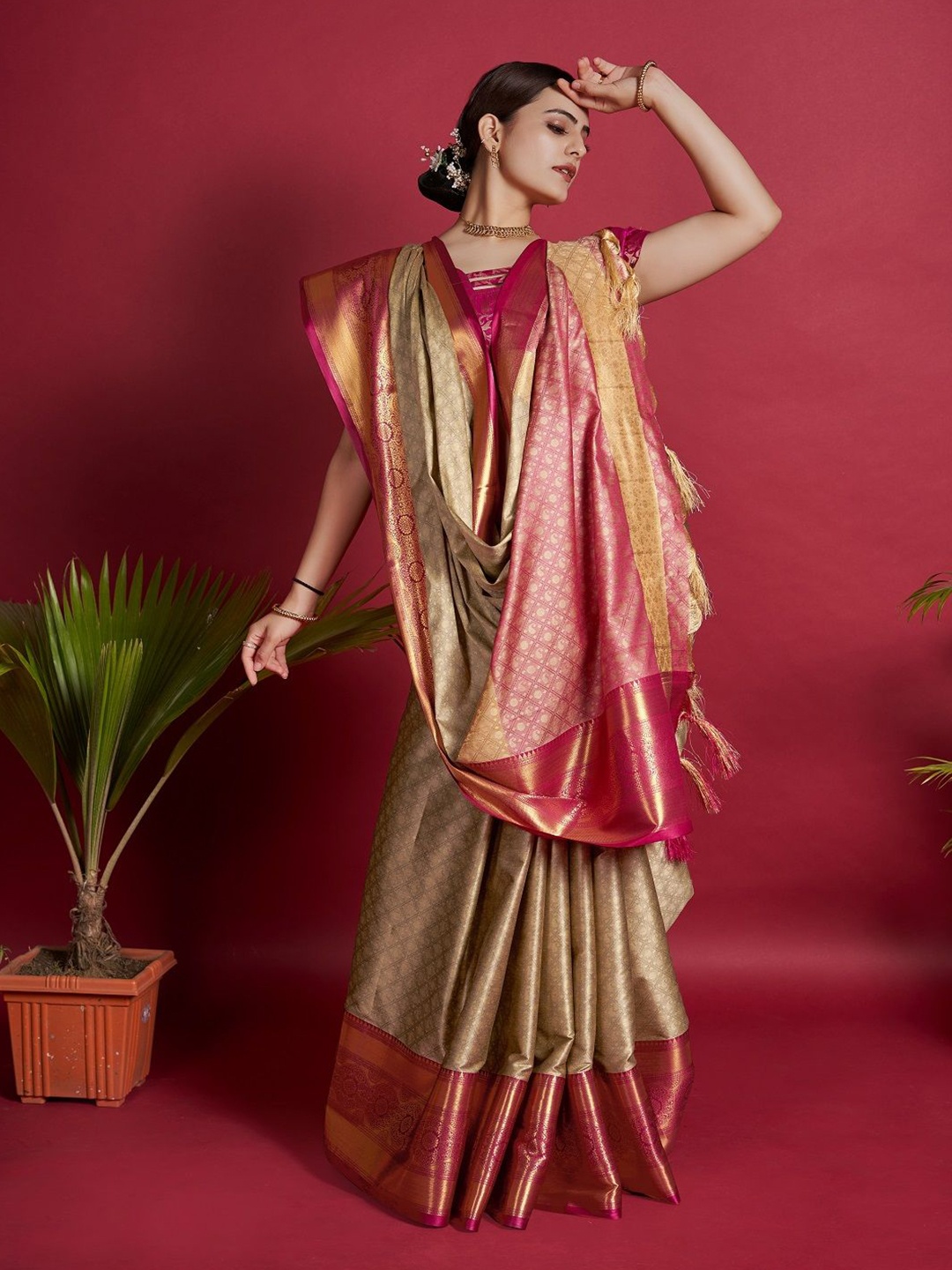 

LEOSAGI Embellished Zari Pure Silk Banarasi Saree, Beige