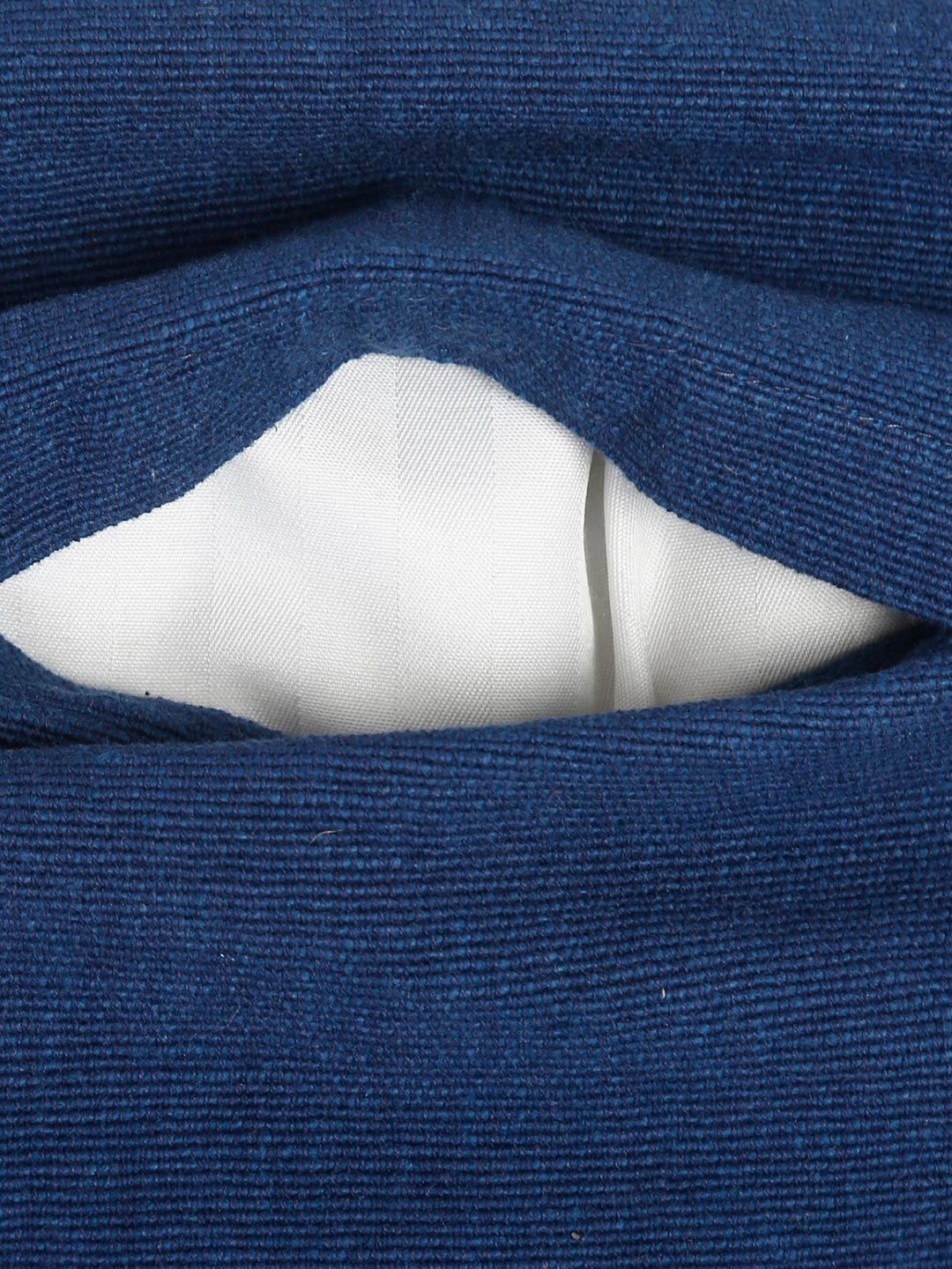 

Fabindia standalone Blue Cotton Square Cushion Covers