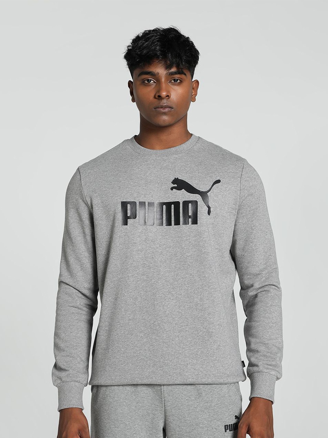 

Puma Men Ess Big Logo Crew Tr Crew Printed Sweatshirt, Grey