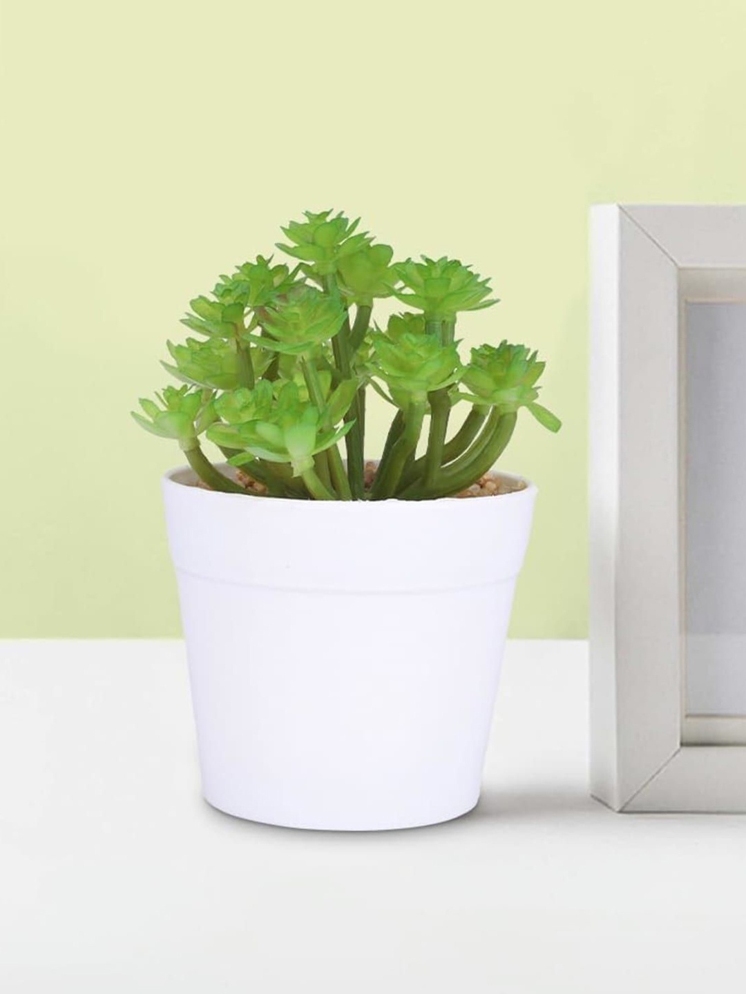 

Ekhasa Green 1 Pieces Artificial Plant With Pot