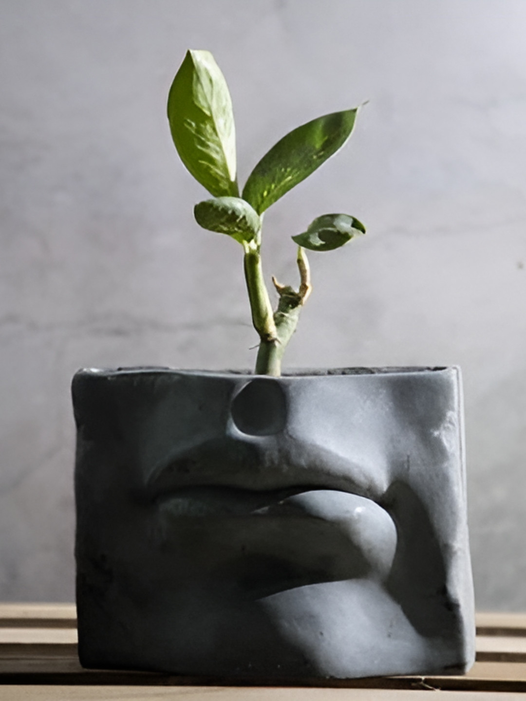 

Greyt Bazoo Grey Textured Lip-Shaped Planters