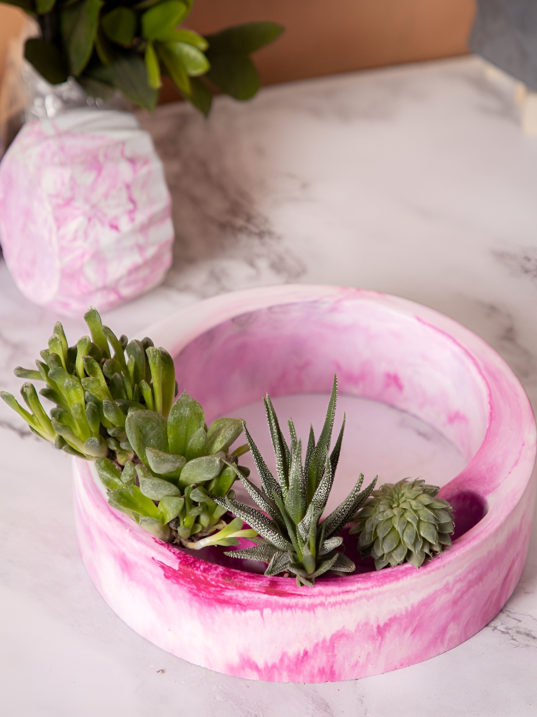 

Greyt Pink & White Moon Shaped Cement Planters