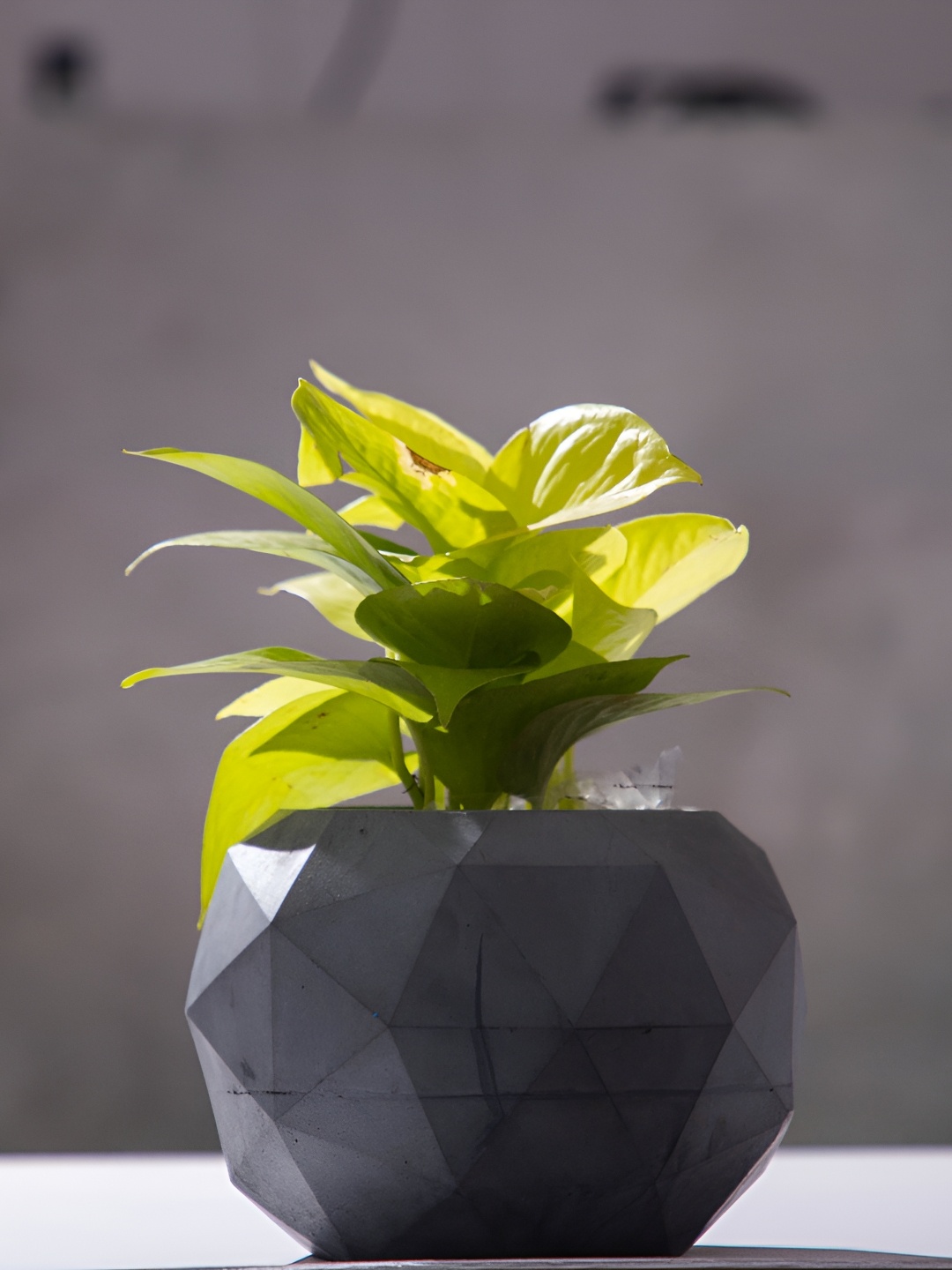 

Greyt Faceted Grey Textured Cement Planter