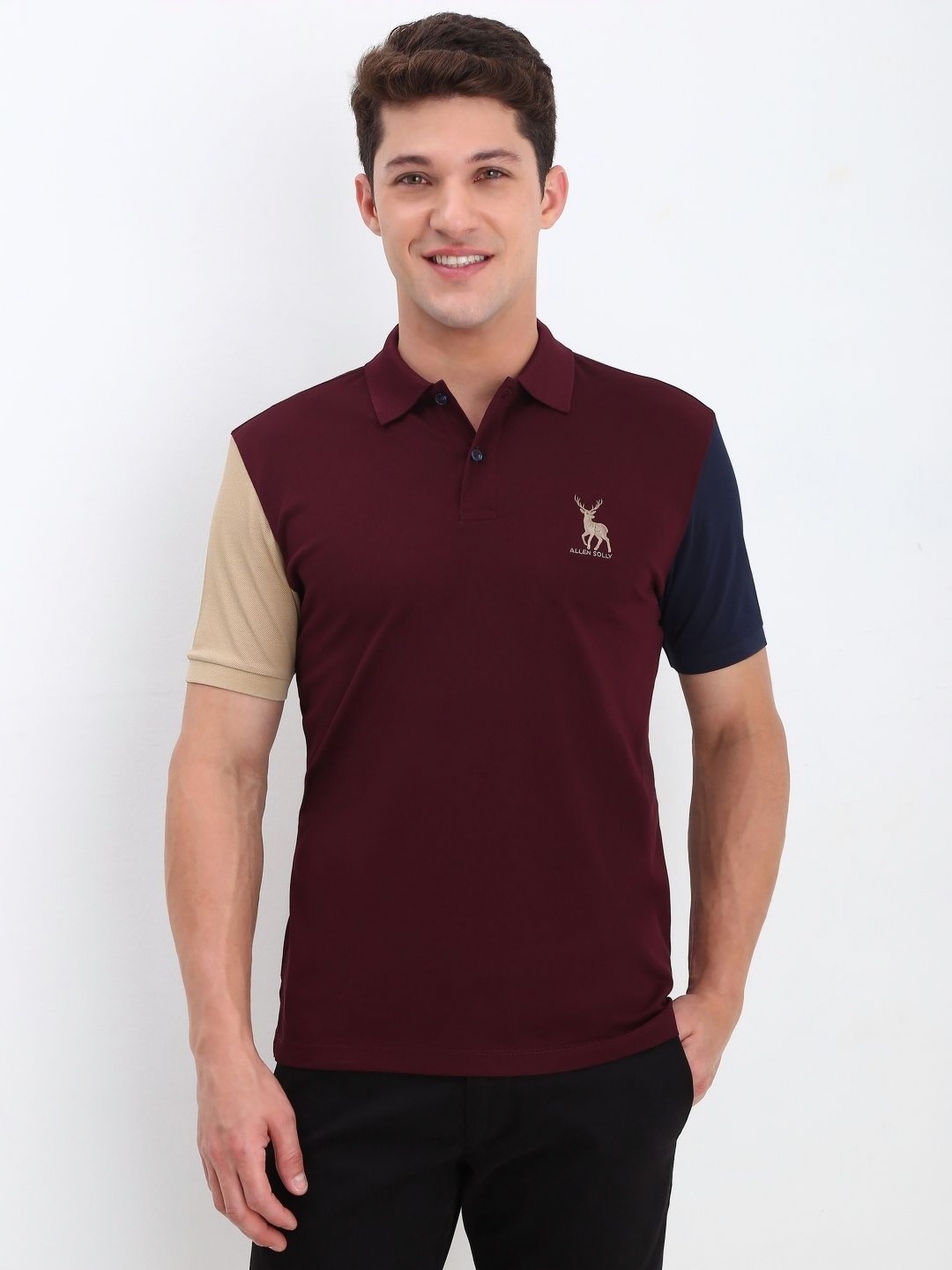 

Allen Solly Men Colourblocked Polo Collar Applique T-shirt, Maroon