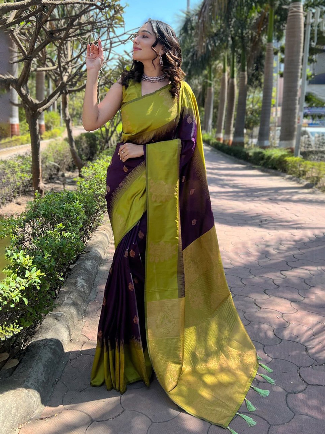 

Caracola Ethnic Motifs Zari Banarasi Saree, Purple