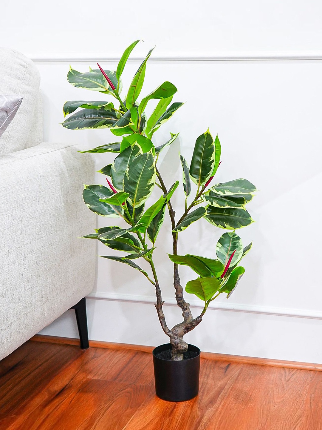 

Ekhasa Green & Black Rubber Artificial Plant With Pot
