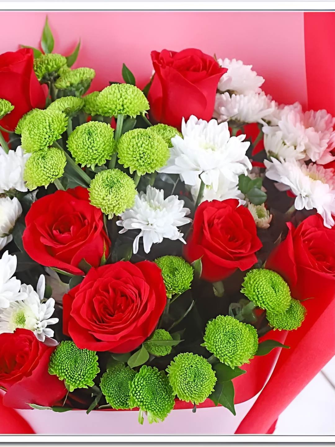 

fnp Red 22 Pieces Roses Merry Christmas Fresh Flower Bouquet