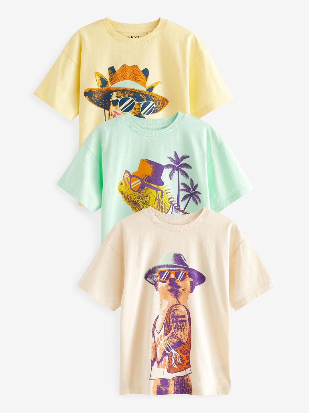 

NEXT Boys Set of 3 Funny Animals Graphic Printed Relaxed Fit T-Shirts, Cream