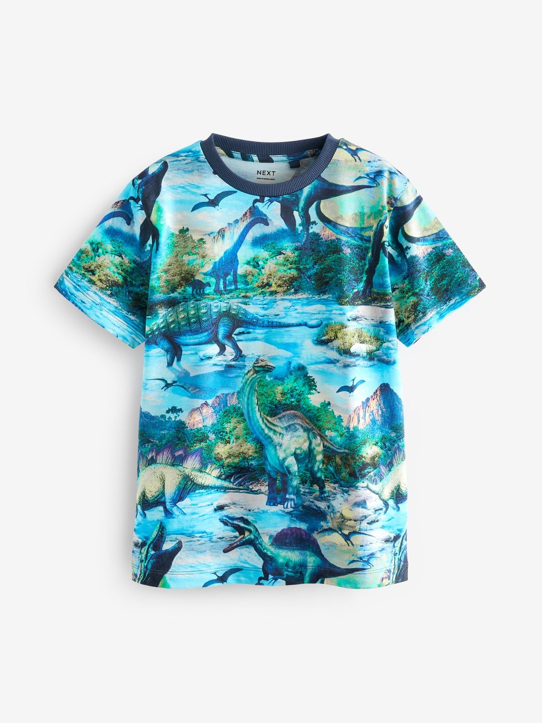 

NEXT Boys Printed Drop-Shoulder Sleeves Pure Cotton T-shirt, Blue