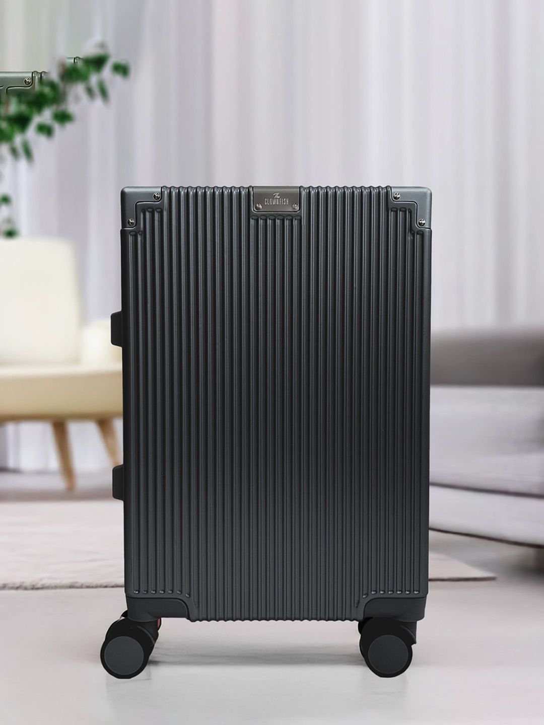 

THE CLOWNFISH Astra Hard Sided Cabin Trolley Bag, Grey