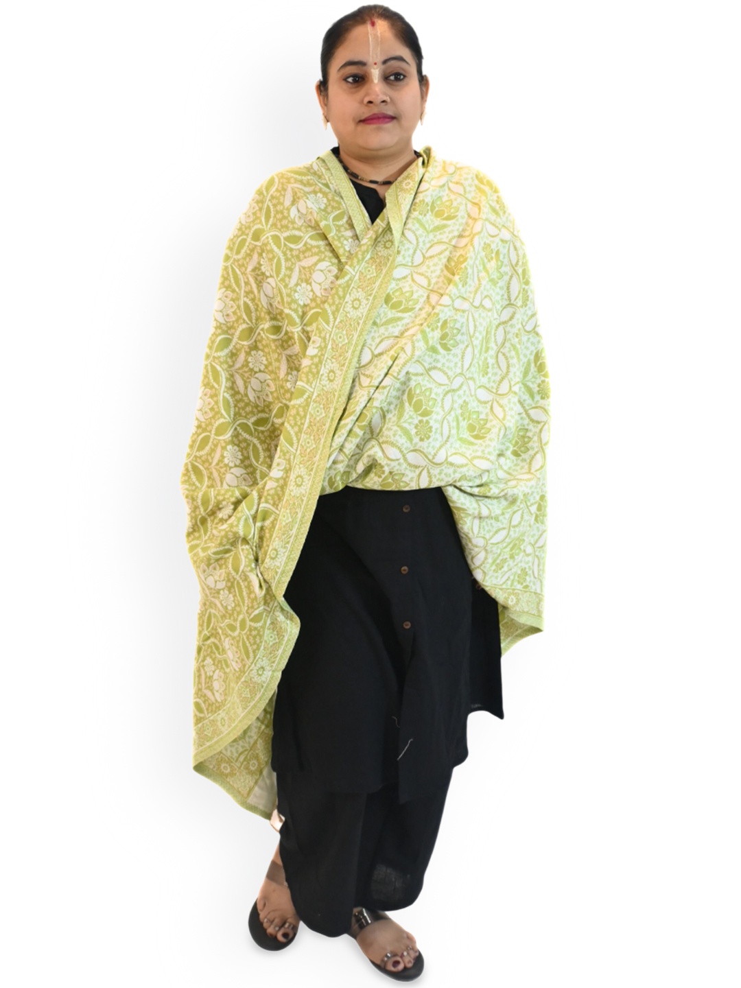 

Vrinde Women Ethnic Motifs Woven Design Shawl, Green