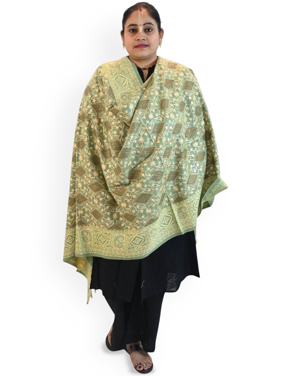 

Vrinde Women Ethnic Motifs Woven Design Shawl, Green