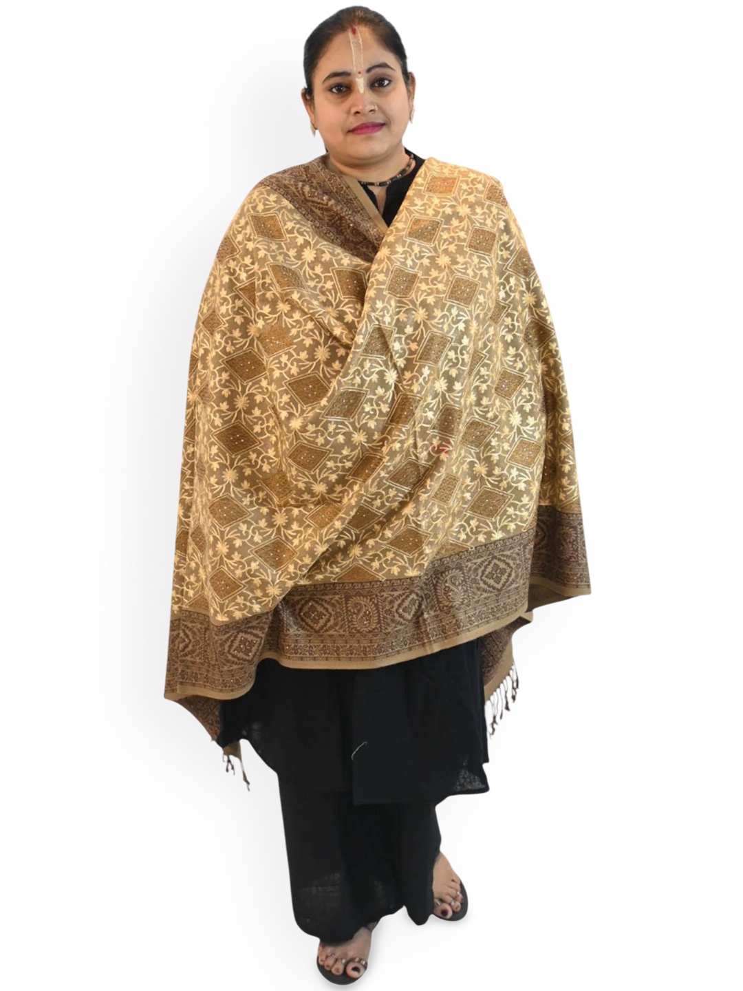 

Vrinde Women Ethnic Motifs Woven Design Shawl, Beige