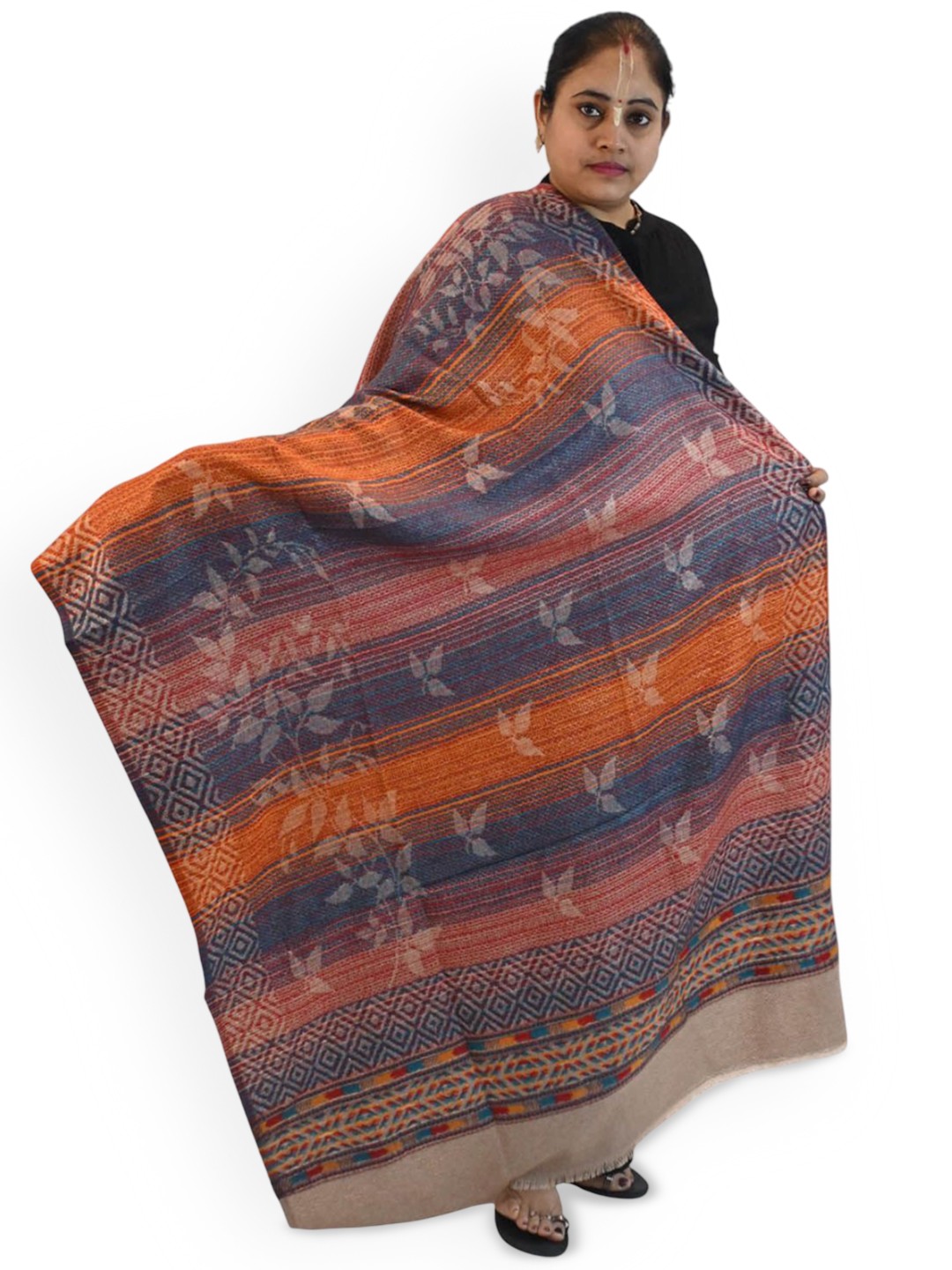 

Vrinde Women Ethnic Motifs Printed Shawl, Blue