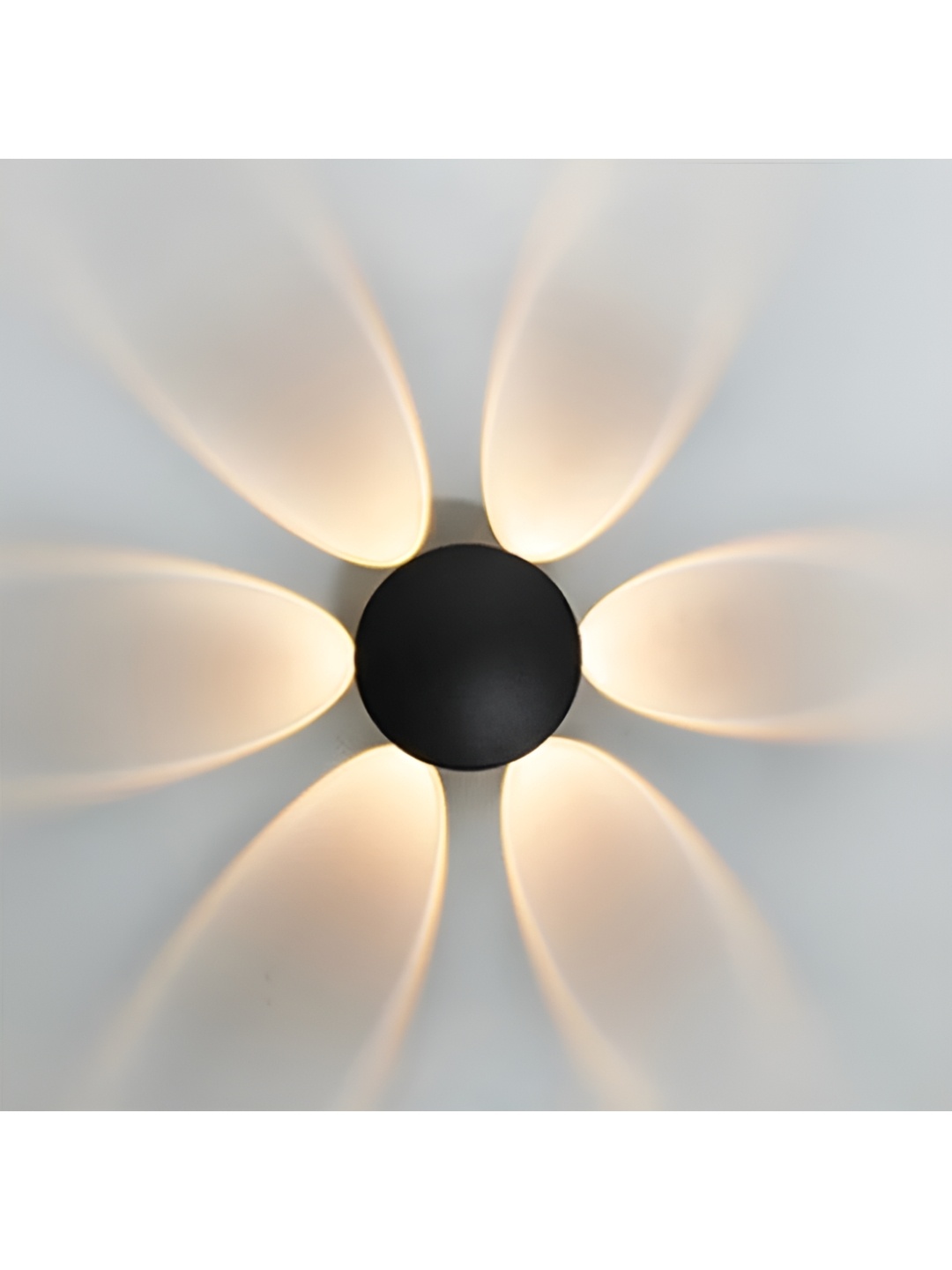 

SHRI MAHAL ANTIQUES Black Metal Contemporary Wall Lamp