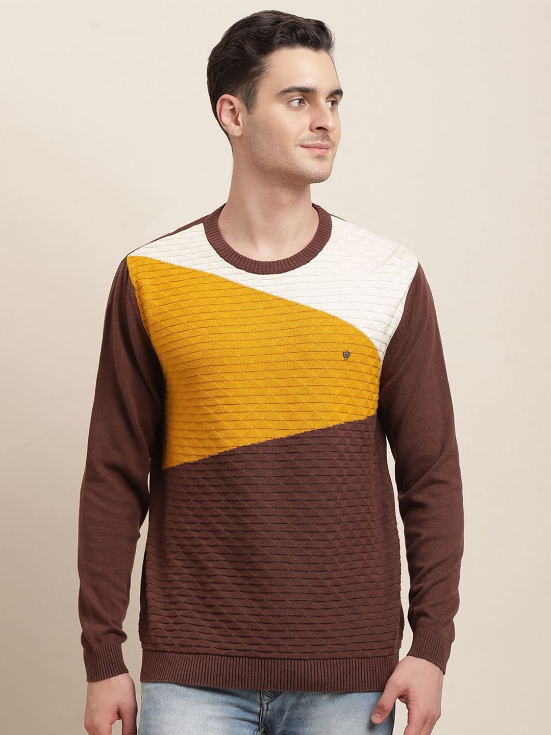 

Turtle Men Colourblocked Pullover, Brown