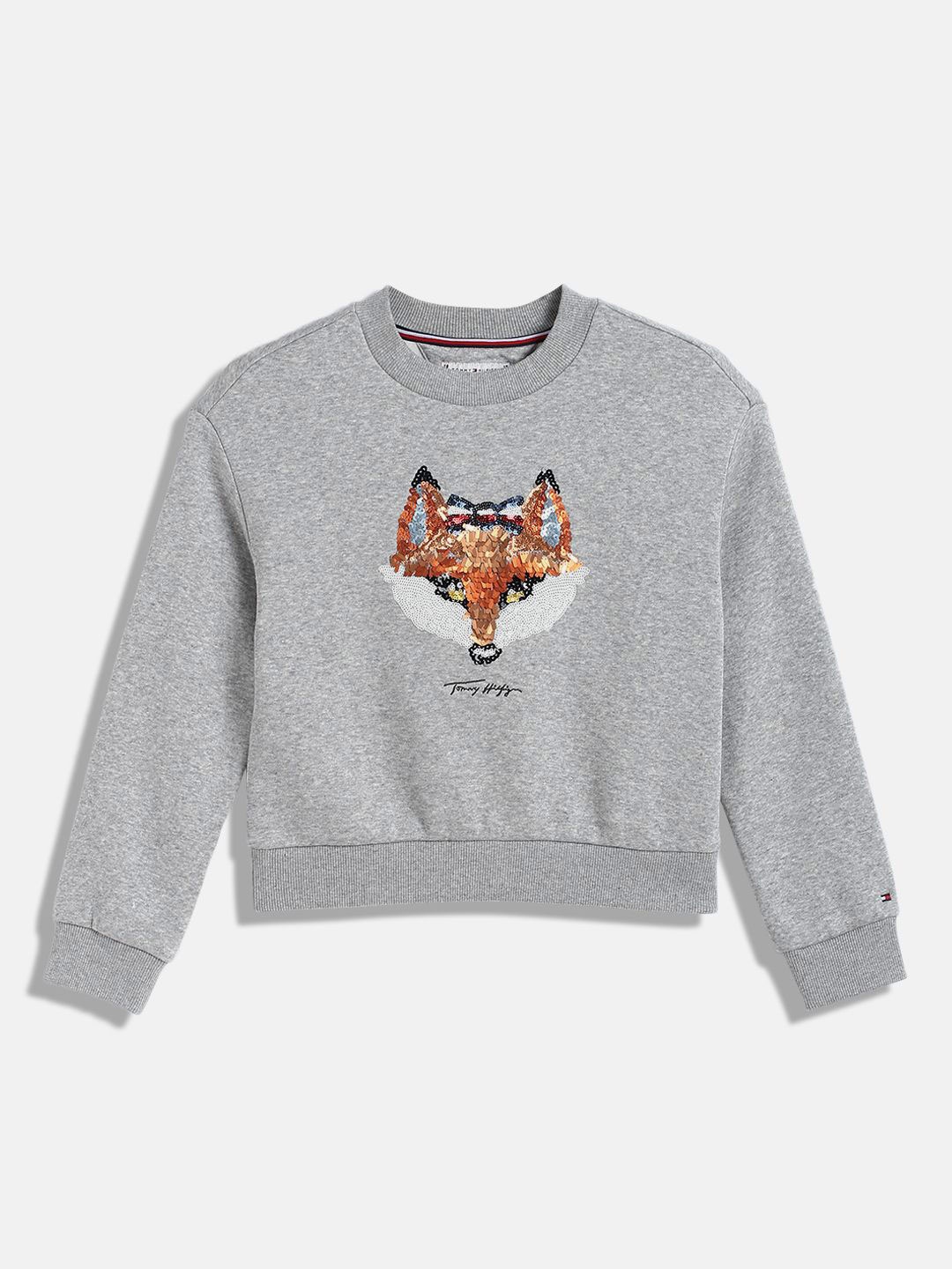 

Tommy Hilfiger Girls Cotton Embellished Sweatshirt, Grey