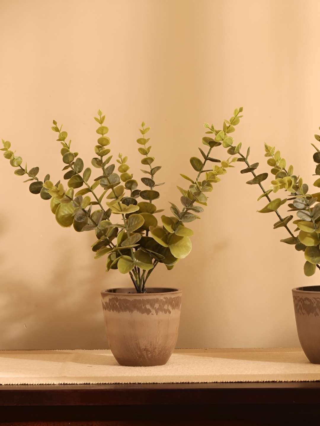 

Elemntl Green & Brown 2 Pieces Artificial Potted Eucalyptus Plants With Pot